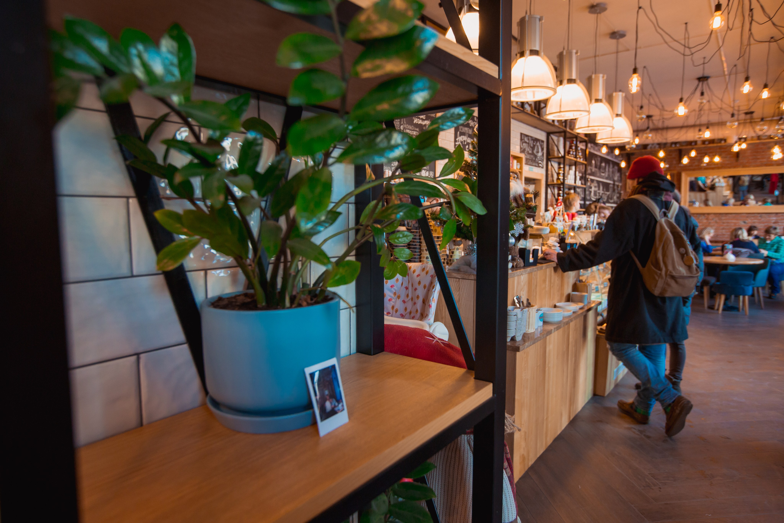 Coffe Cake на полевой. Фотограф в Самаре Максим Тырин