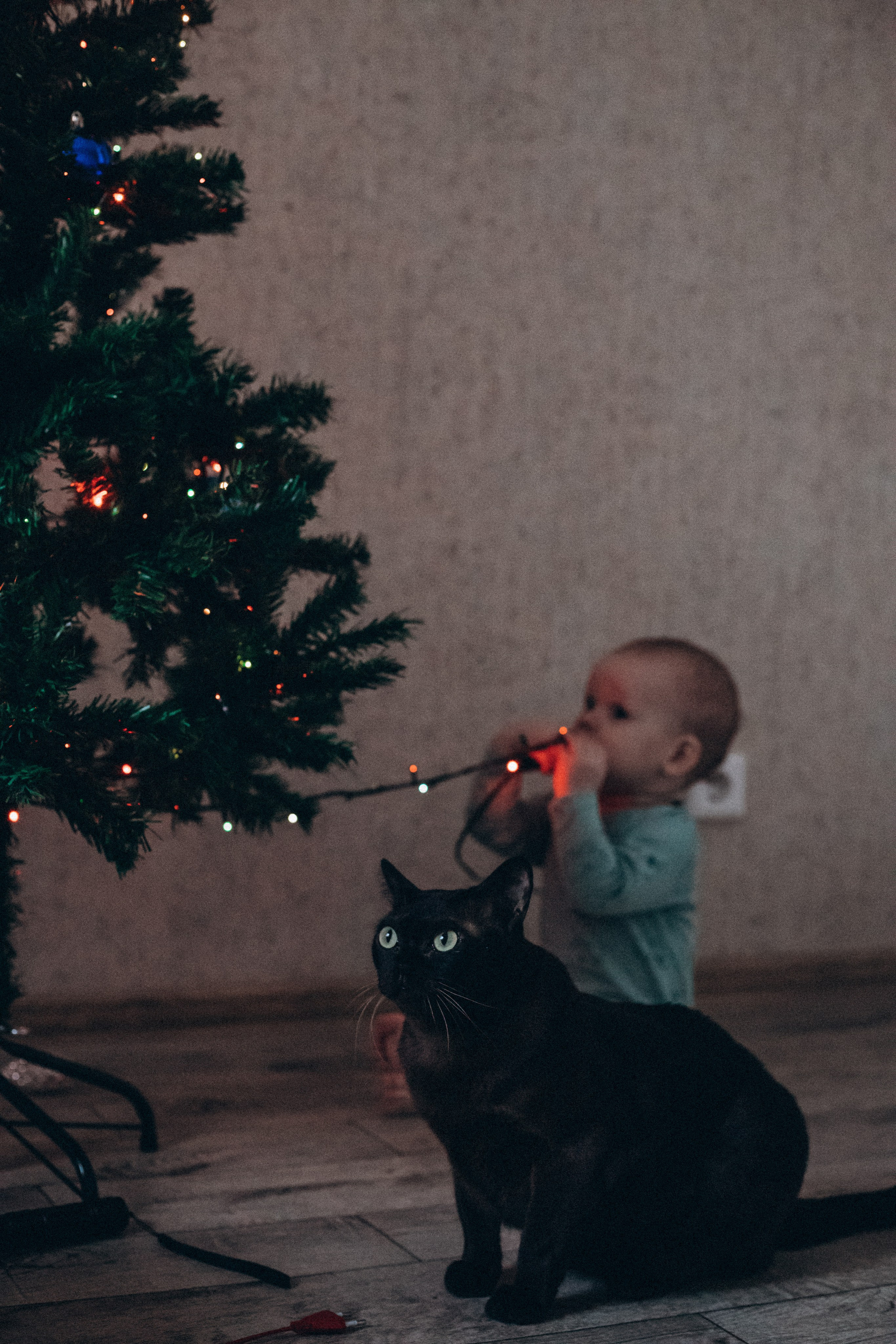 Вадим Ирина и Артем. Семейный фотограф Нижневартовск Тюмень Ефимова Ирина