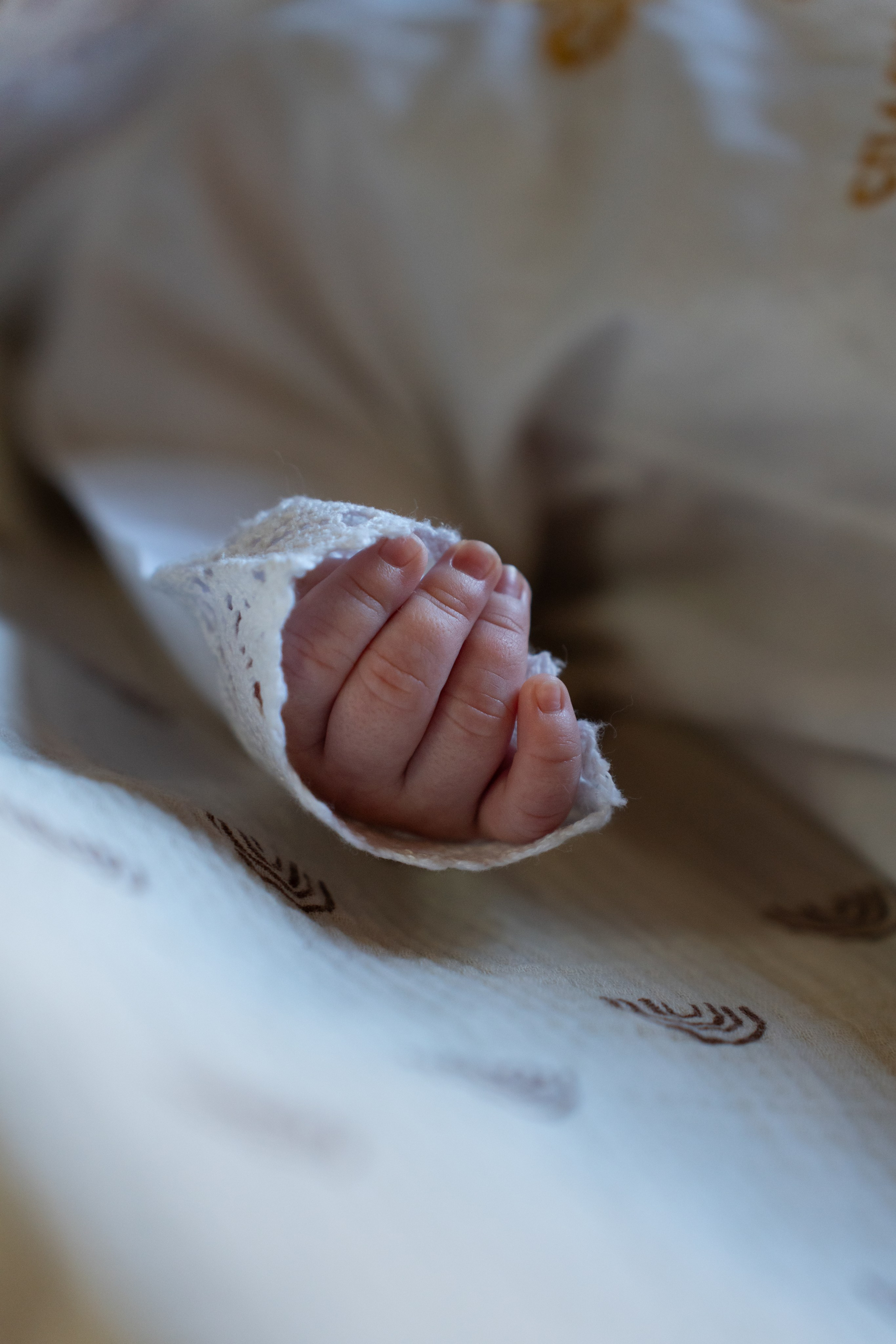 Крещение. Nikolay Serfoord