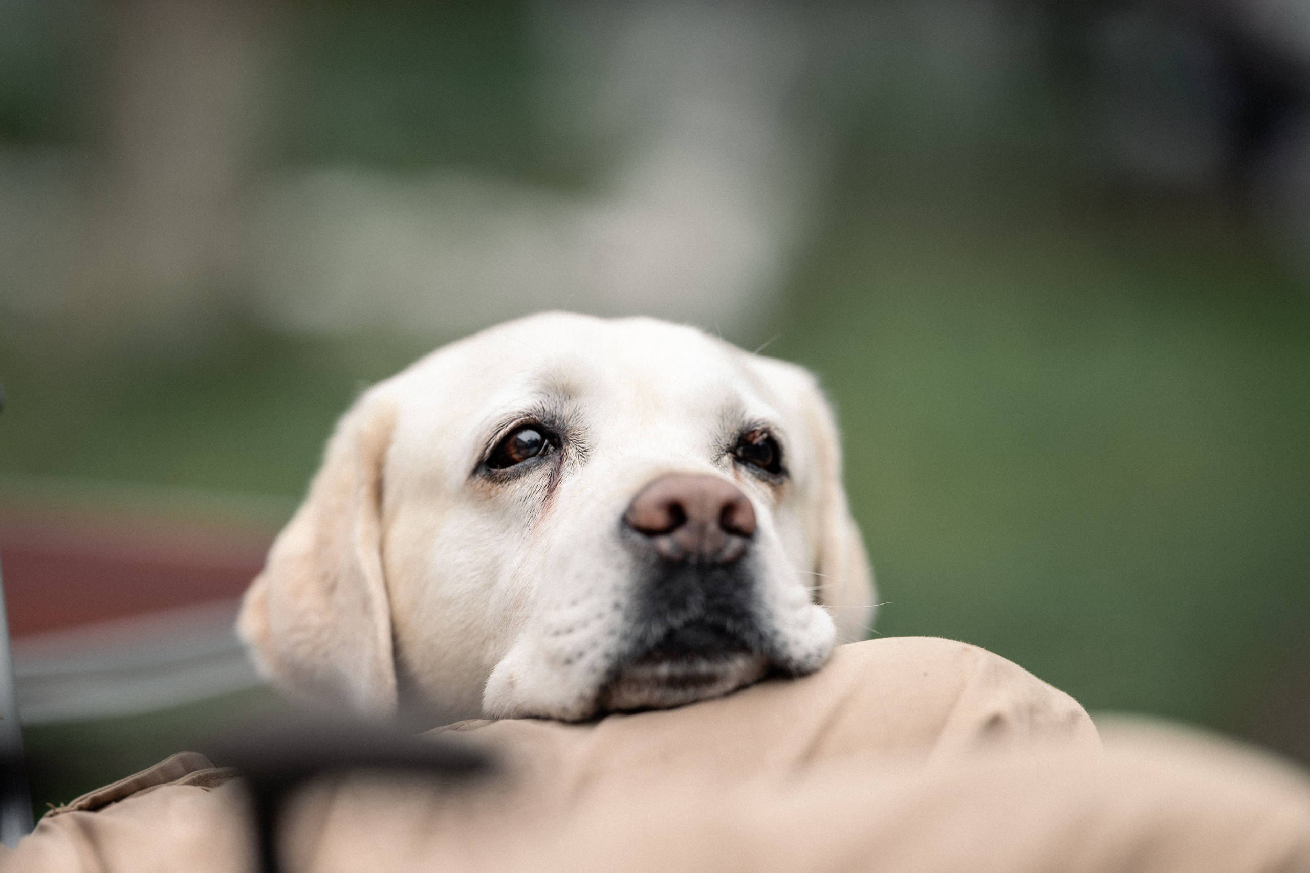 Uda Trail 16/11/2025. Фотограф в Краснодаре Алена Горбунова