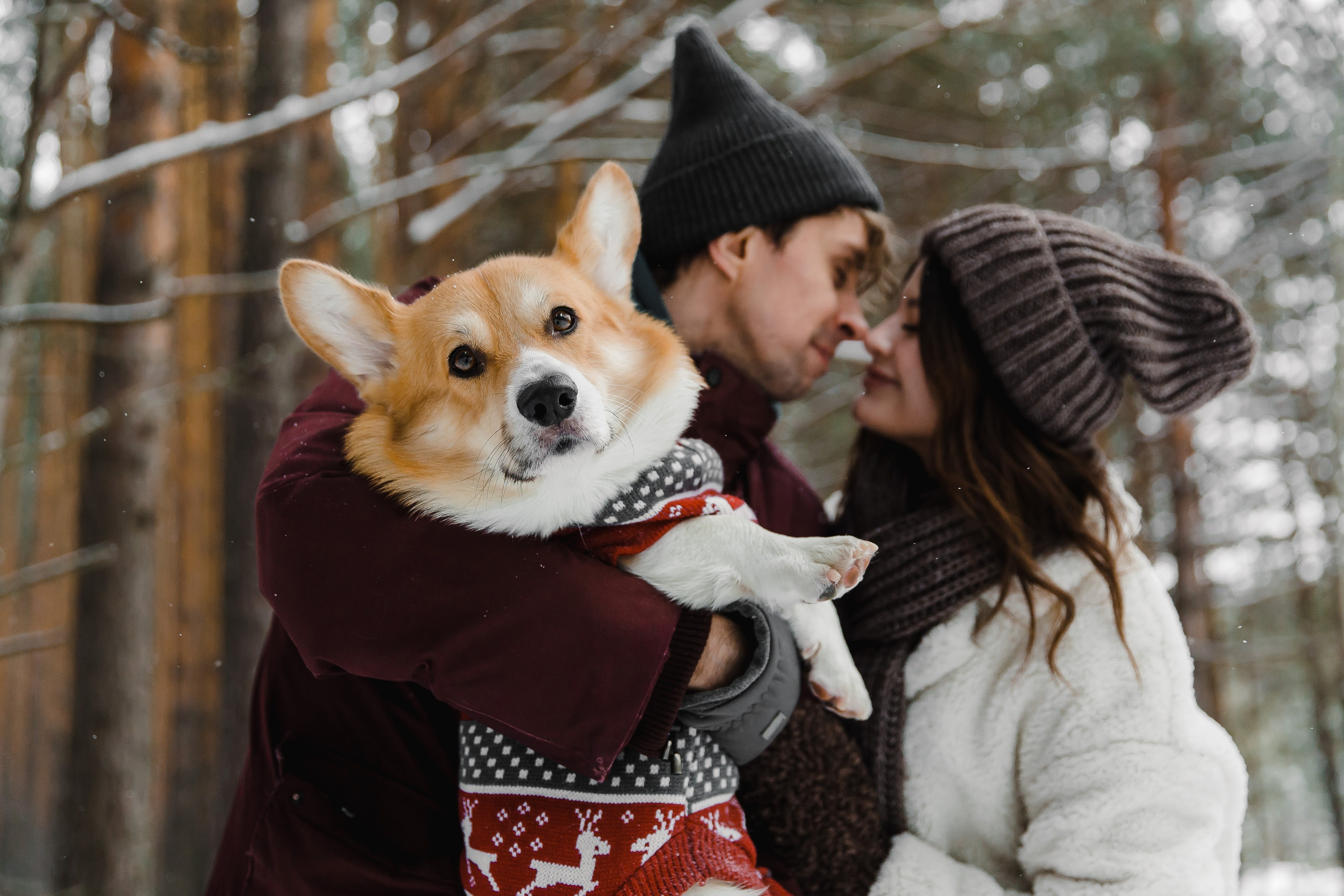 Дима и Даша. Свадебный и семейный фотограф в Томске Алексей