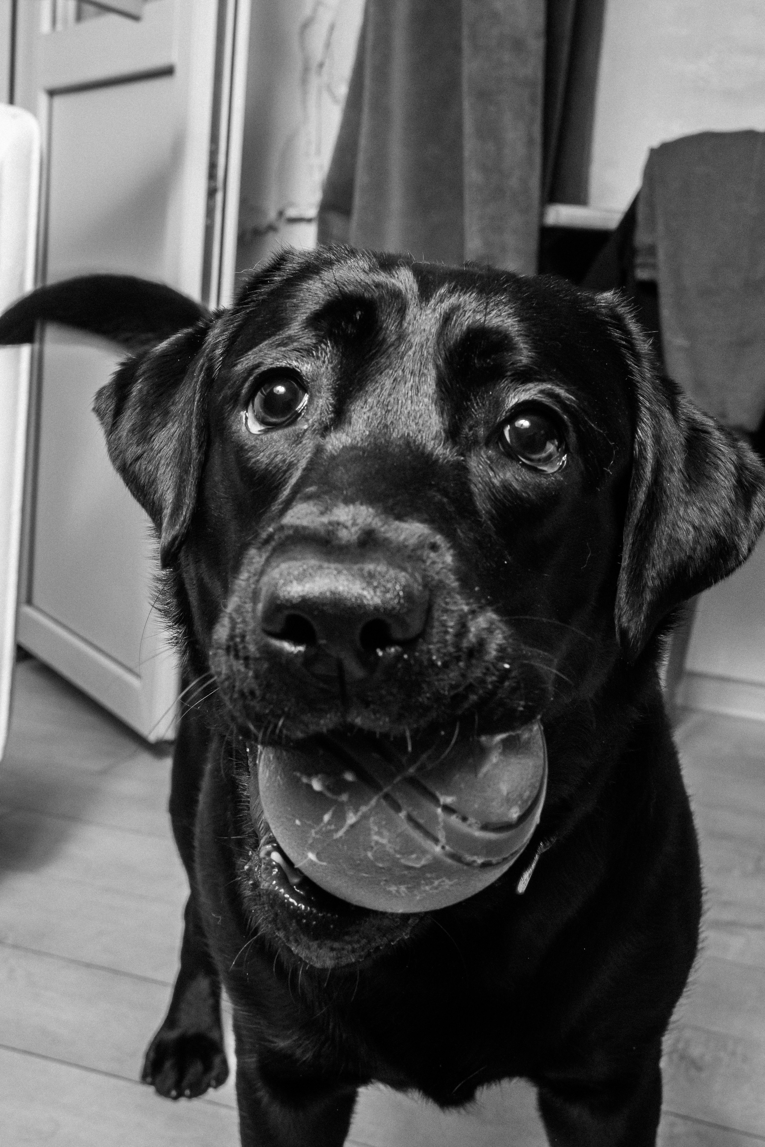 Вика&Даня. Фотограф и видеограф в Тюмени Екатерина Чернецкая