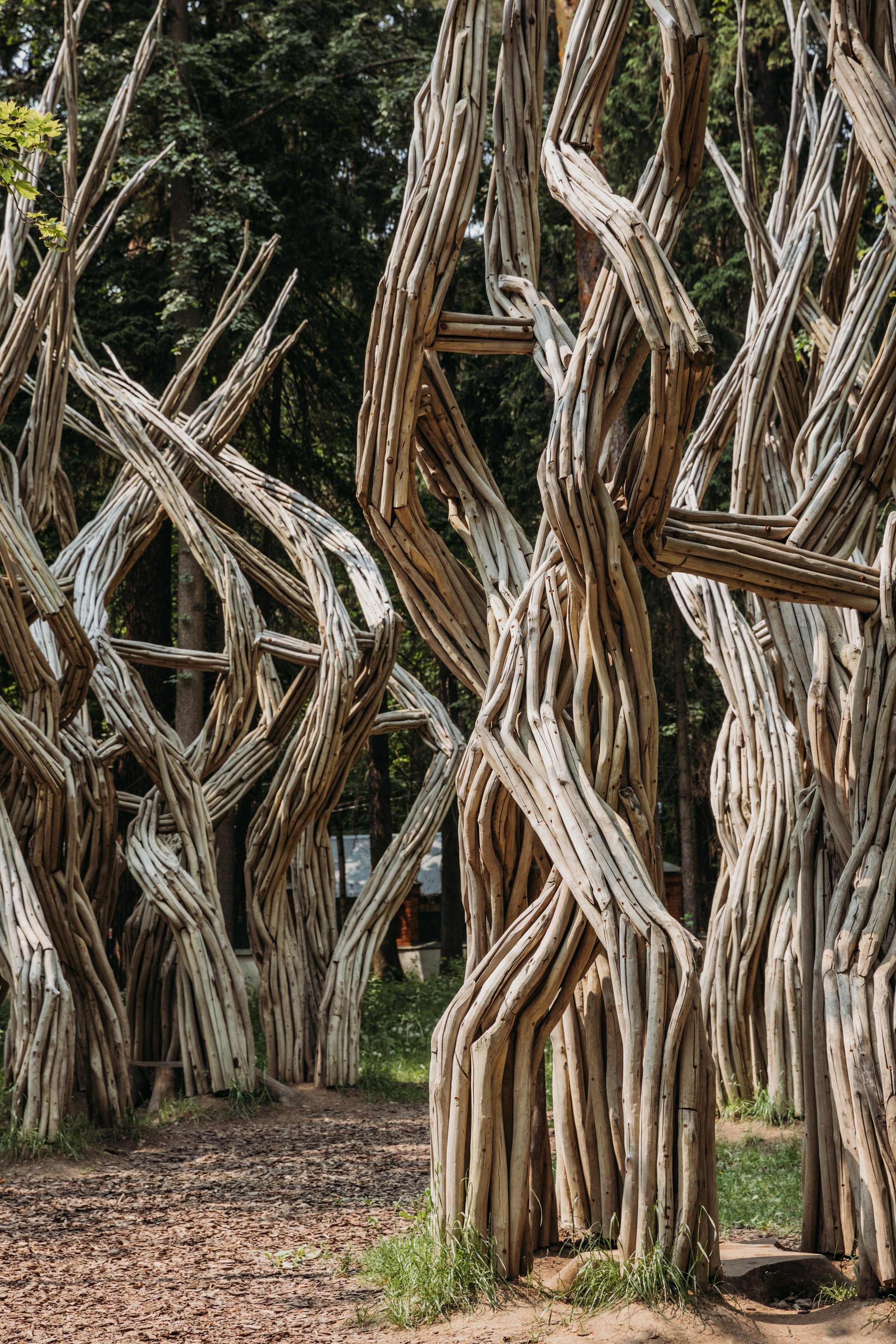Родные люди «Переделкино». Леся Гаранина. Семейный фотограф/видеограф Москва и область
