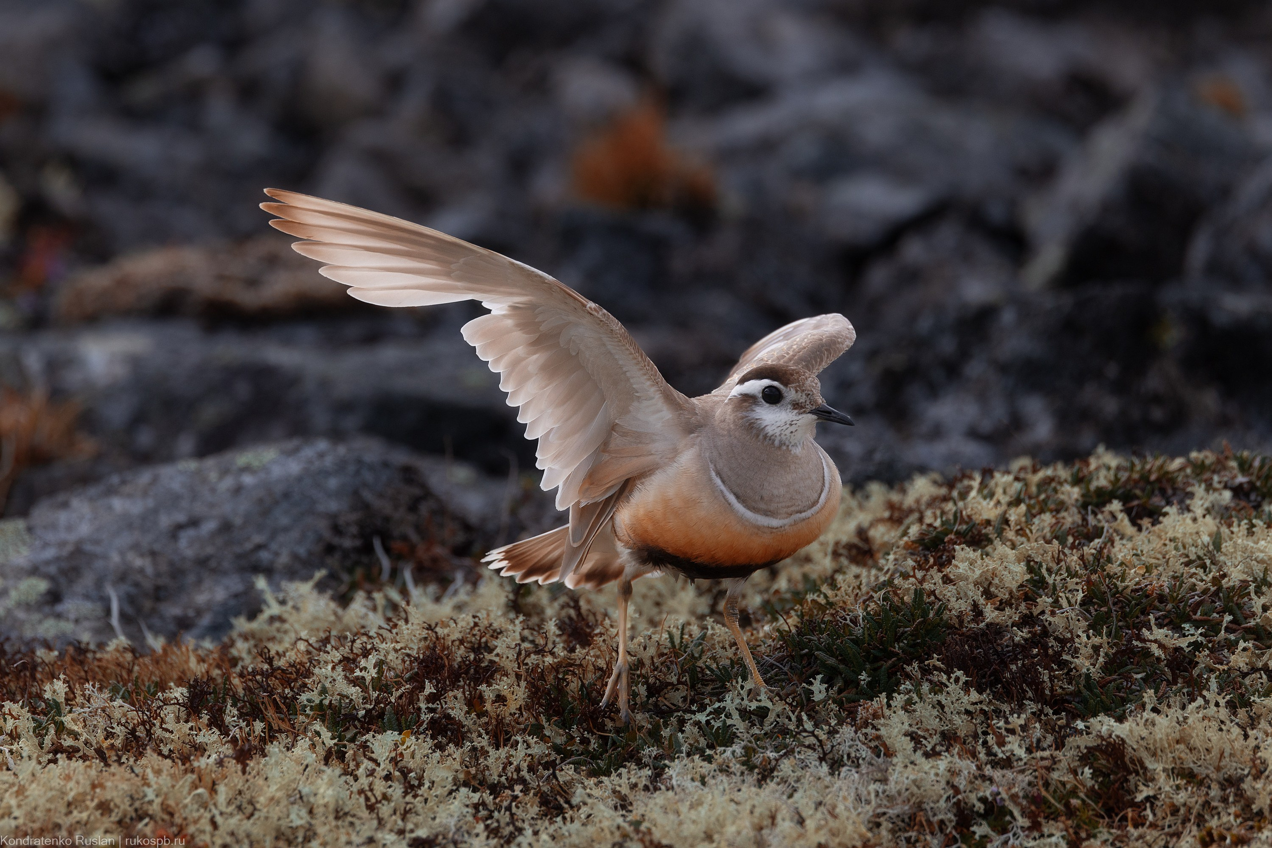 Хрустан. Архитектурный и пейзажный фотограф Кондратенко Руслан, Санкт-Петербург