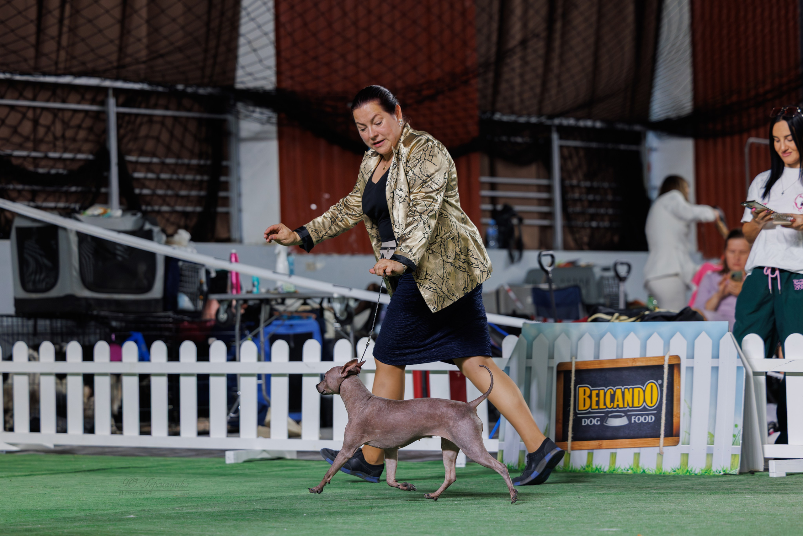 Телави 11-12.10.2025. Фотограф-анималист Юлия Германика