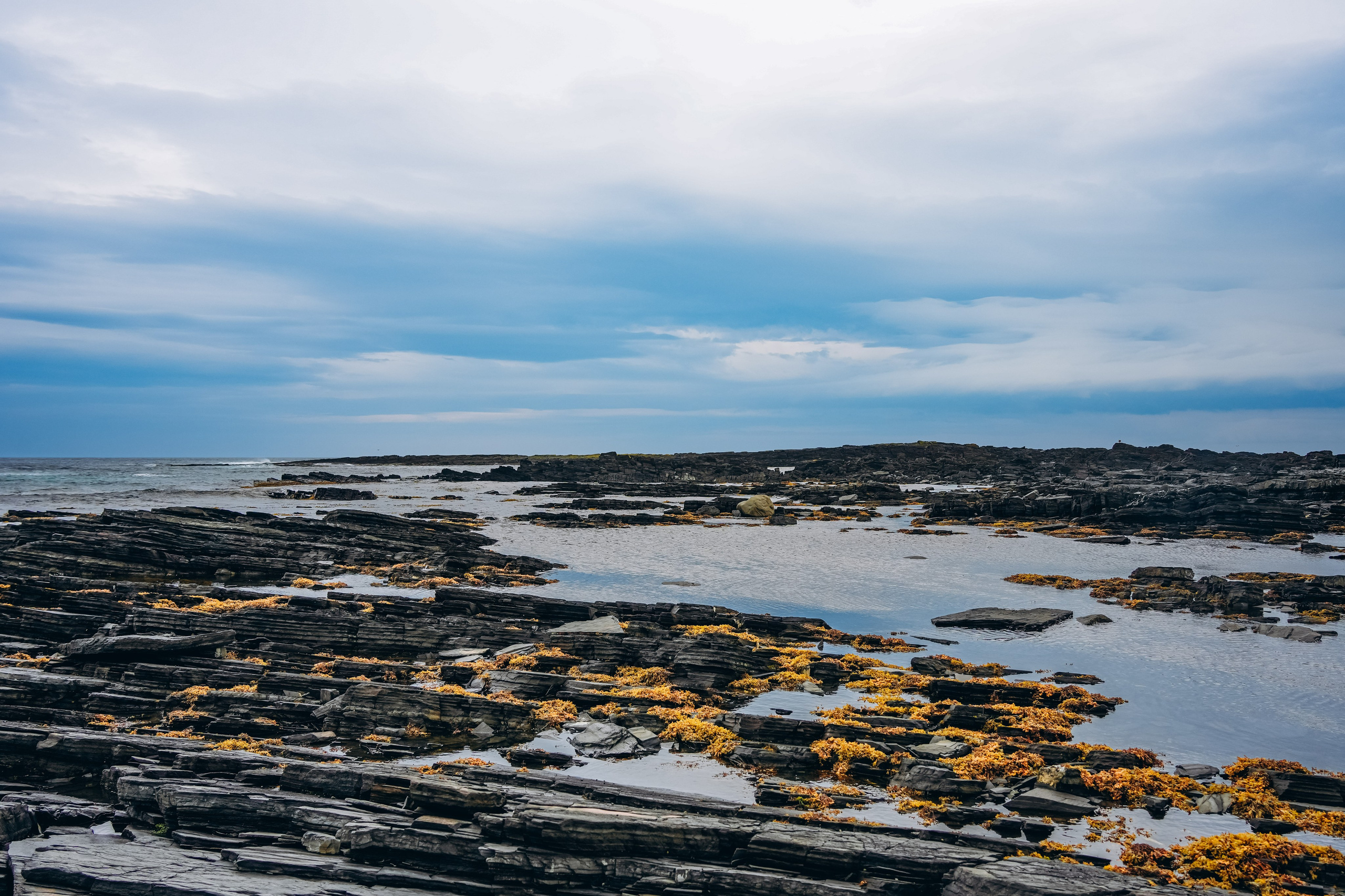 СЕВЕР. Event фотограф Степанова Александра