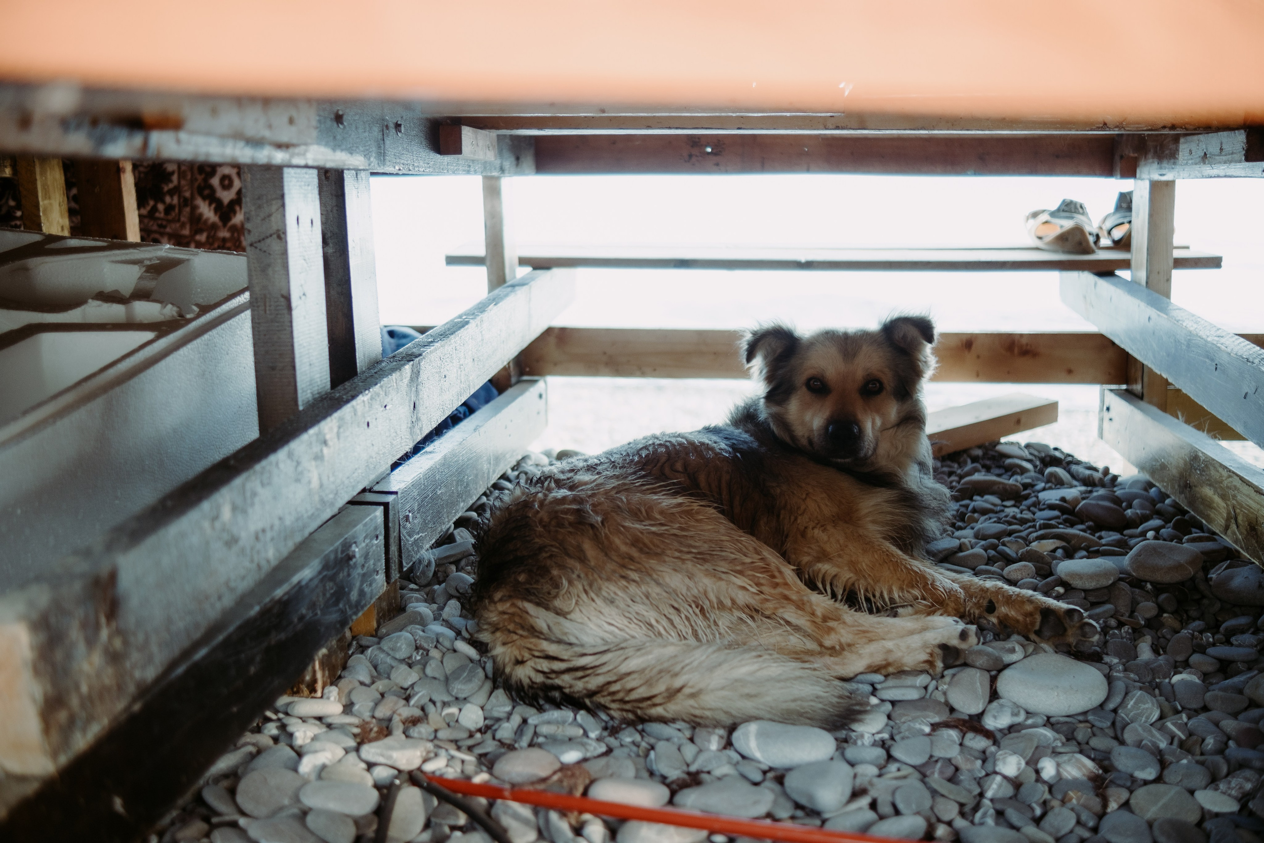 Крымский рыбак. Обо мне