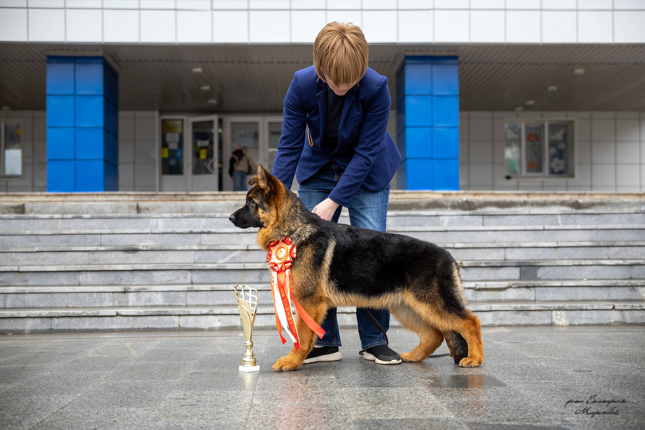 Заринговая съёмка на выставках собак. Фотограф-анималист в Омске Екатерина Маричева