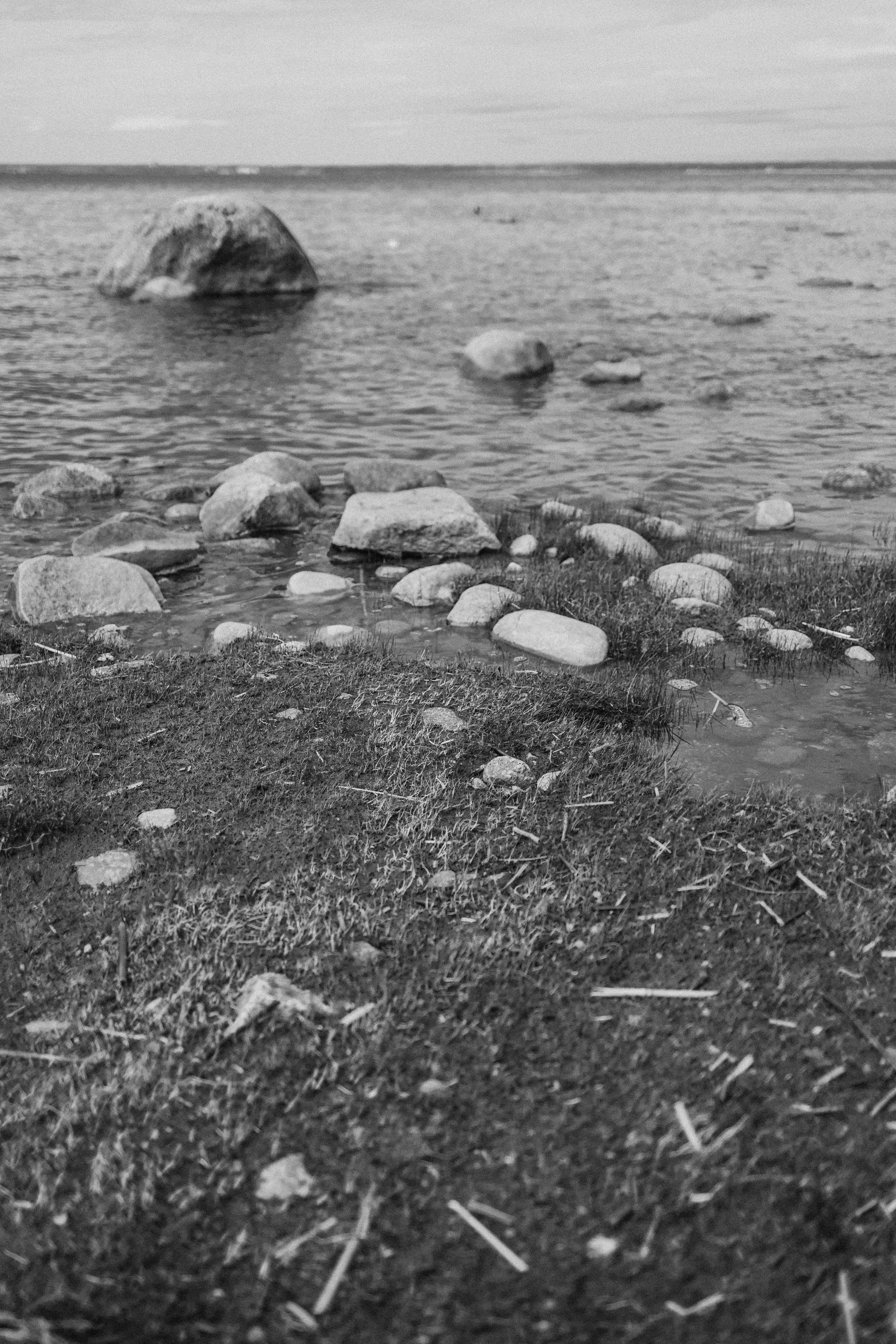 Эстетика П р о Я в л е н и я. Виноградова Маргарита. Фотограф P r o Явления