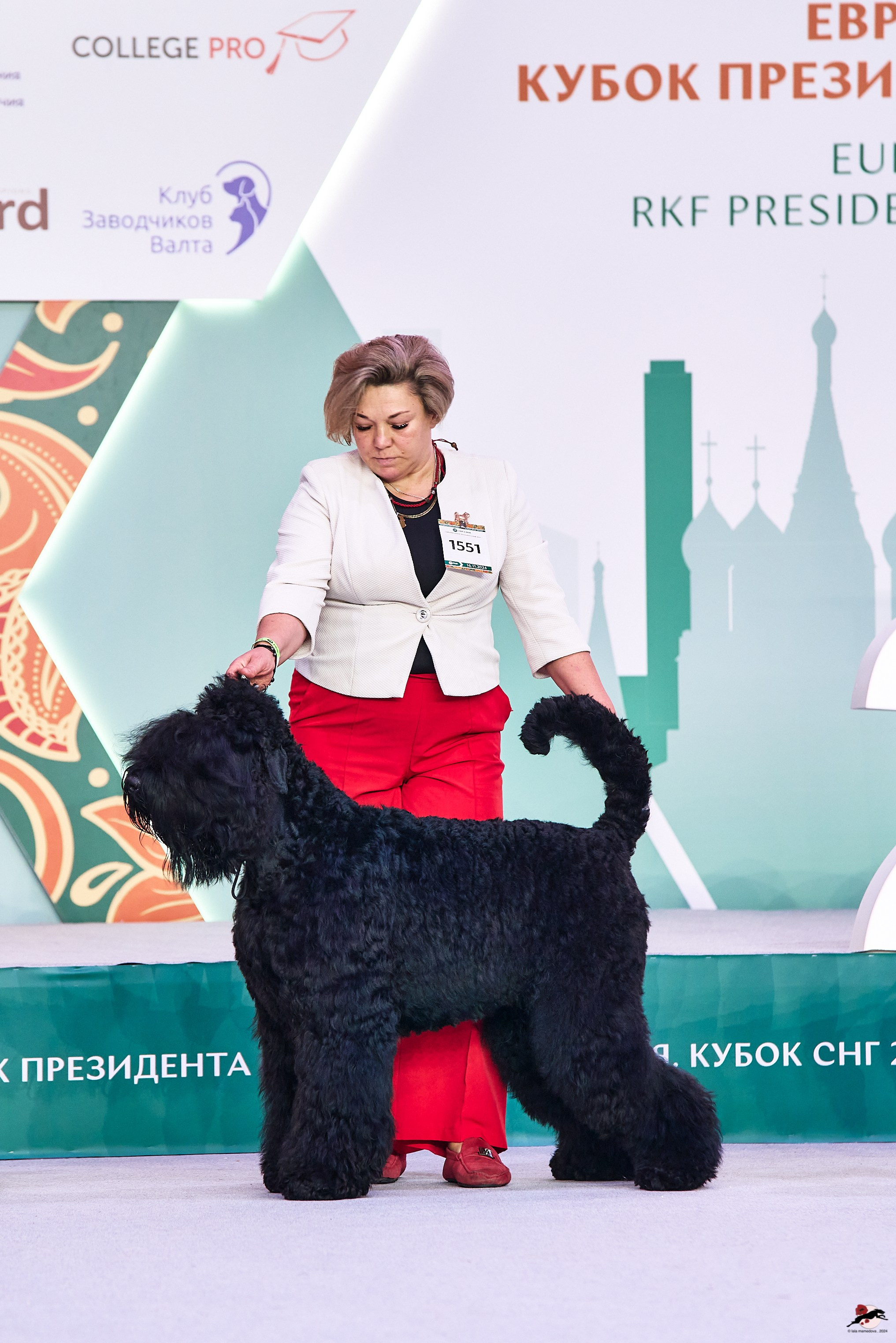 16.11.2024 «ЕВРАЗИЯ. КУБОК ПРЕЗИДЕНТА РКФ 2024»