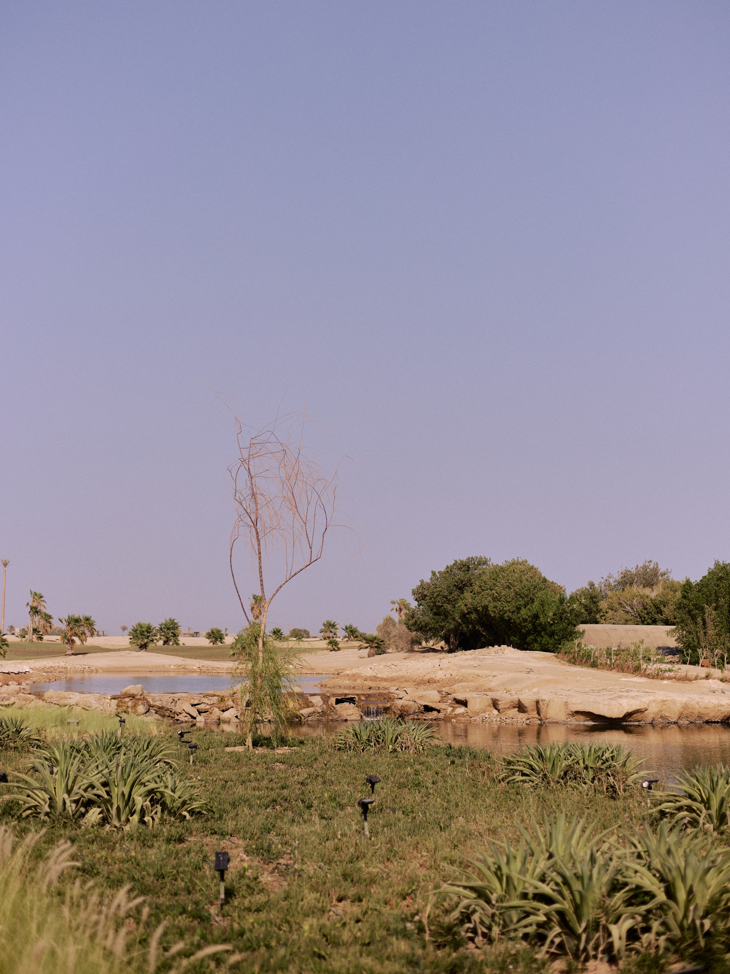 Другое 4. Jorgis — фотограф в Хургаде / обучение фотографии