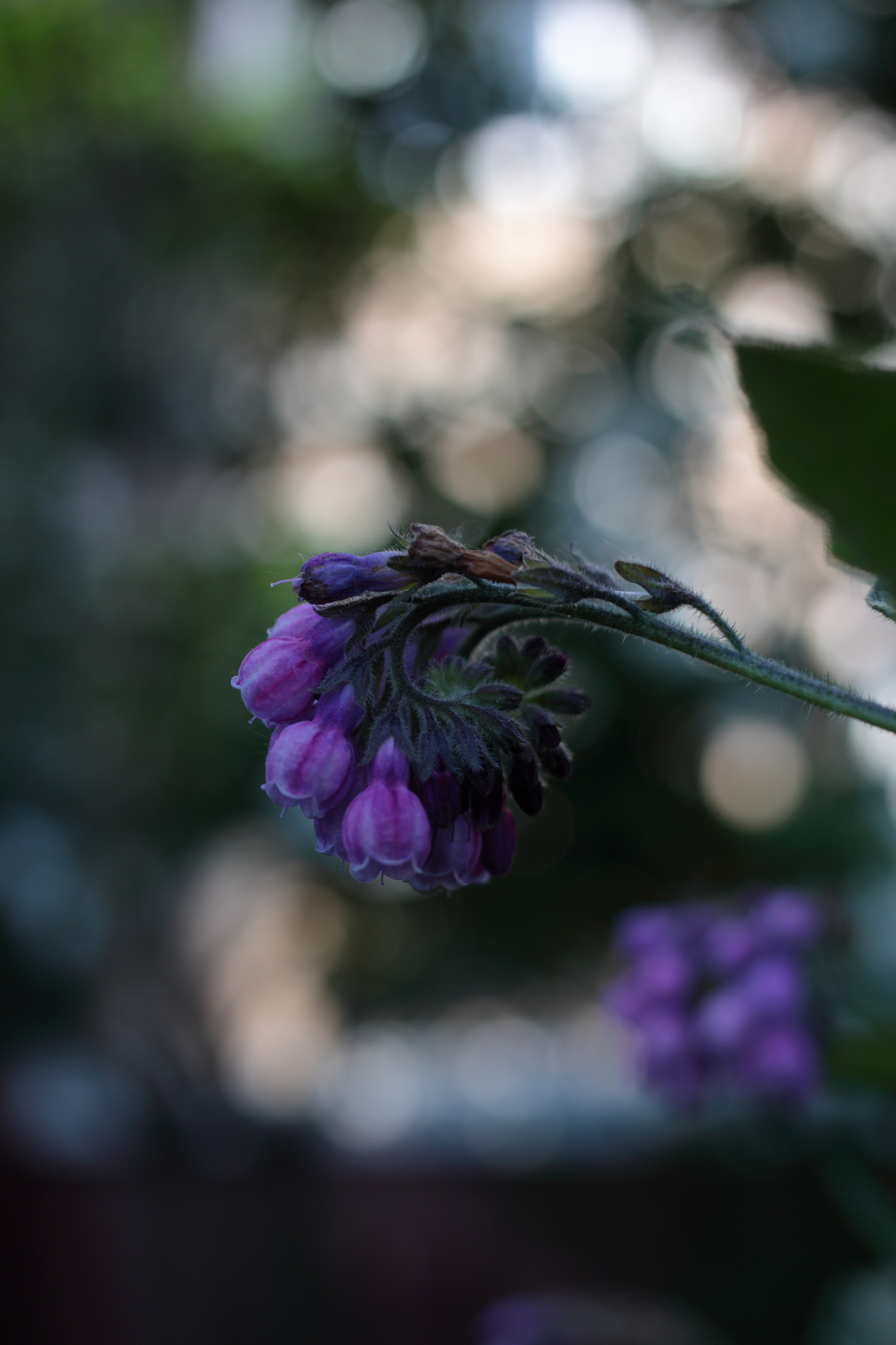 Старое природное, отбирала Katamount (Катерина Горохова). Главная