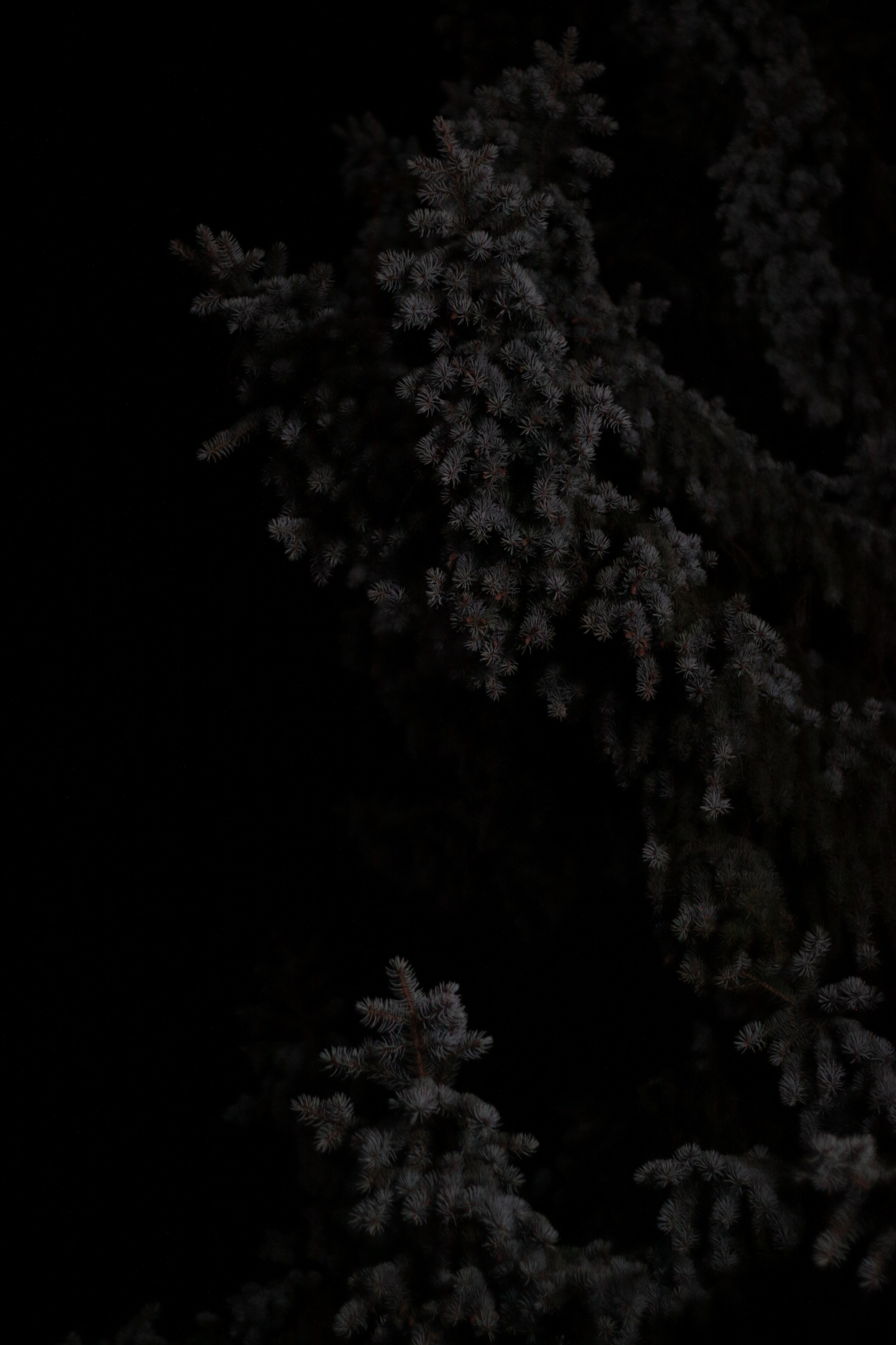 Старое природное, отбирала Katamount (Катерина Горохова). Главная