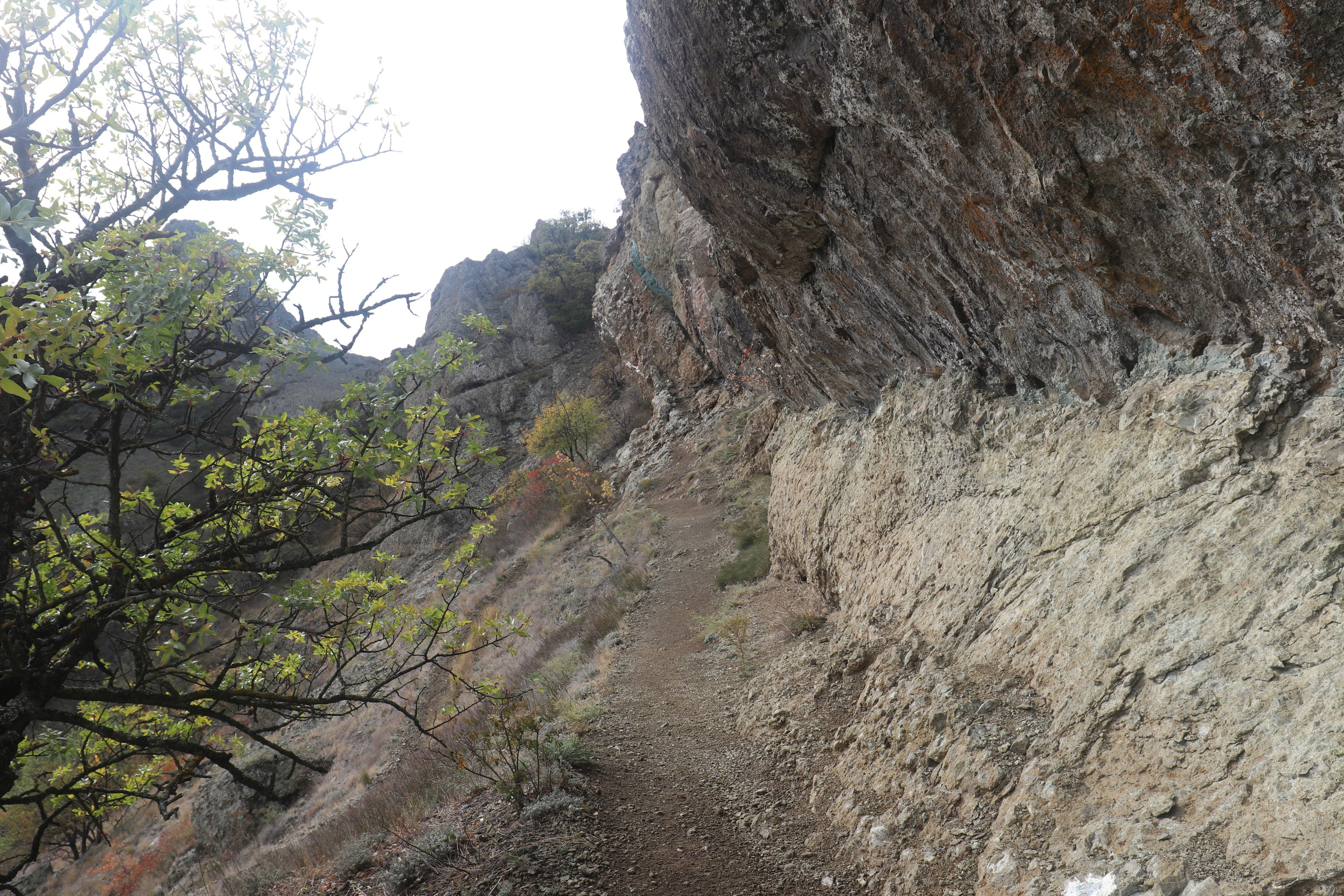 Крым. ЮБК (Судак, Карадаг). Ноябрь 2020. Путешественник-фотограф из Санкт-Петербурга Татьяна Свистулина