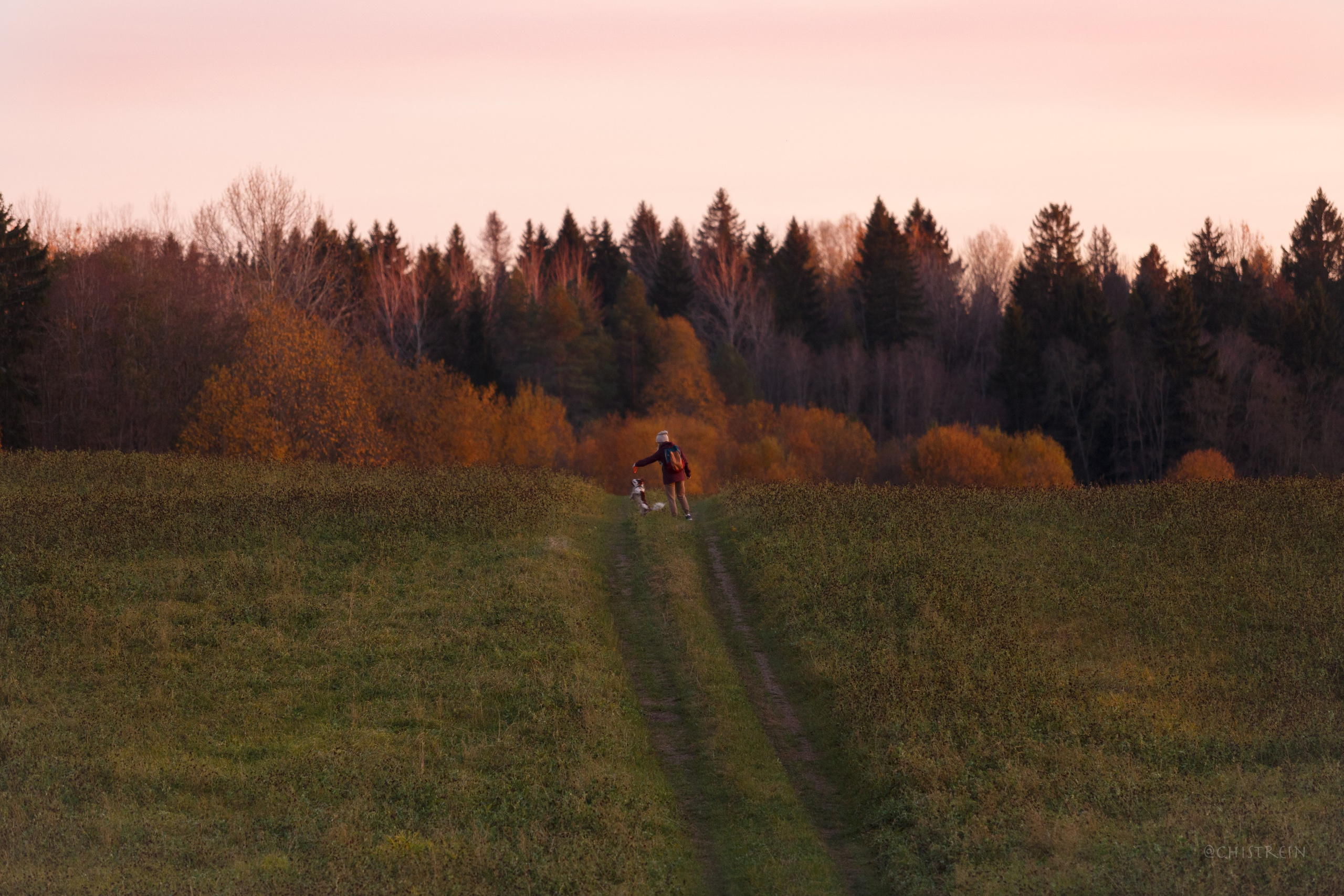 Октябрьский закат в полях. Алина и Лео. Фотограф-анималист Наталия Чистюхина в г. Сосновый Бор и ЛО