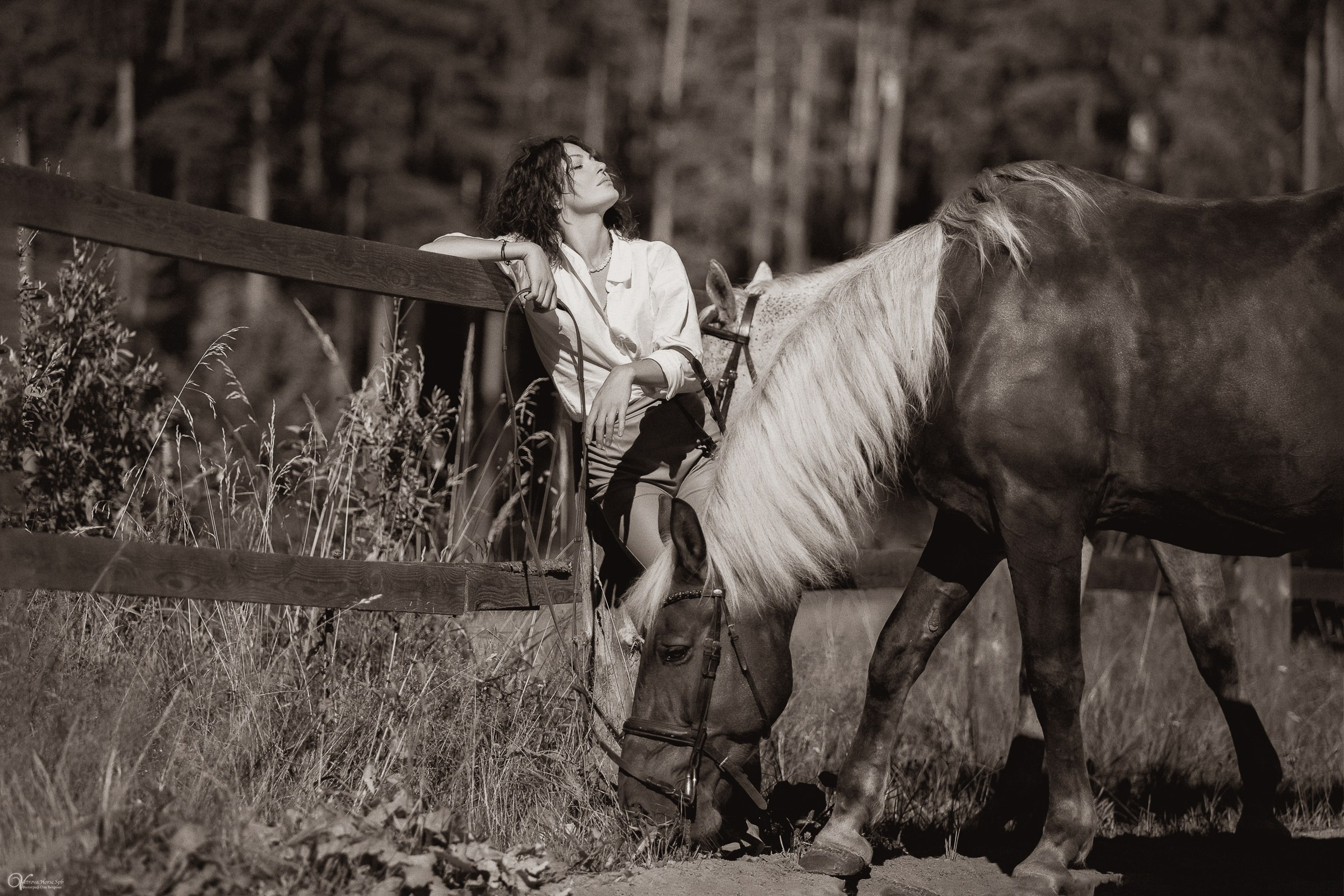 Фотосессии с лошадьми летом. Фотограф женский и мужской портрет Санкт-Петербург