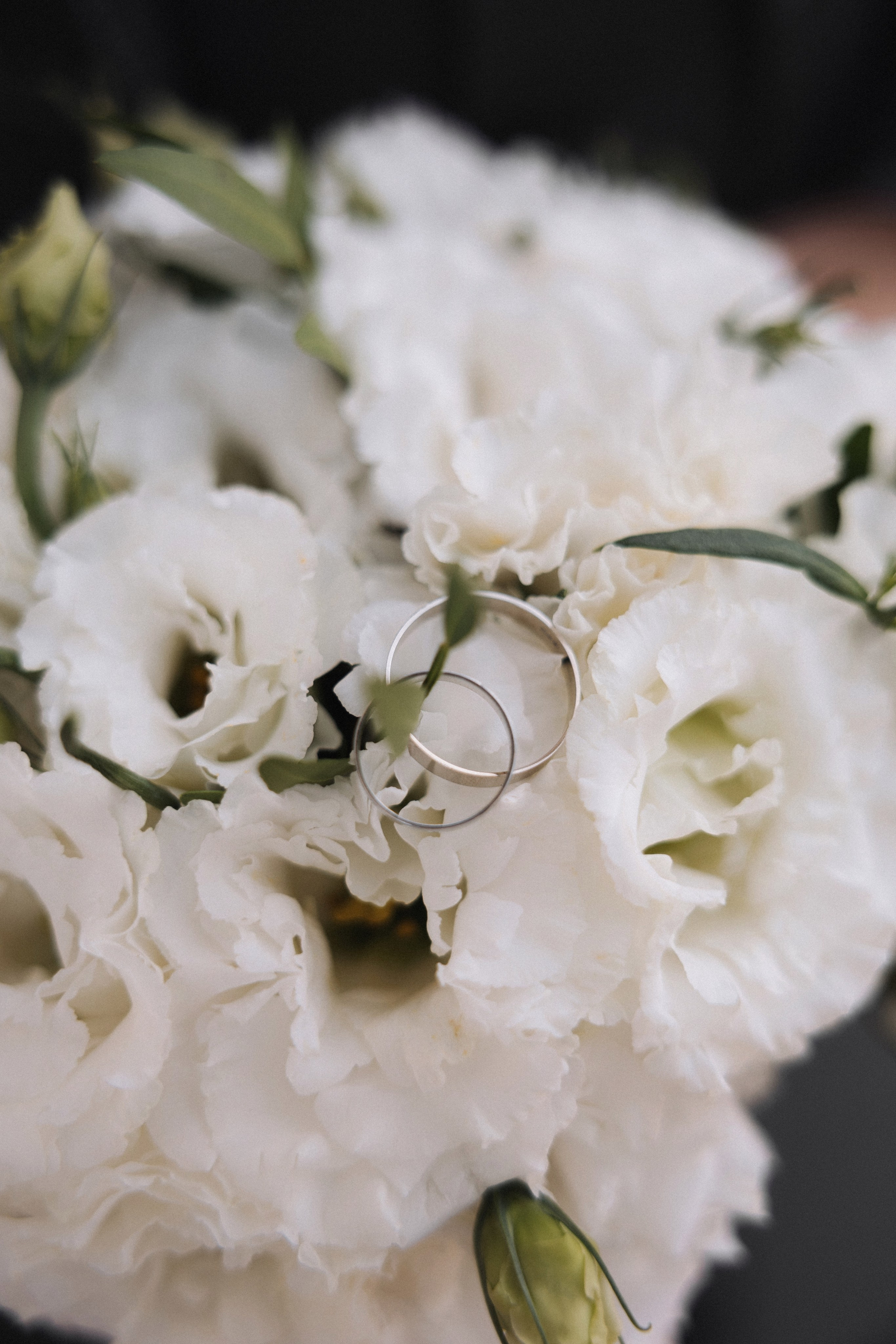 Анастасия & Даниил. Майорова Валерия Фотограф Ставрополь