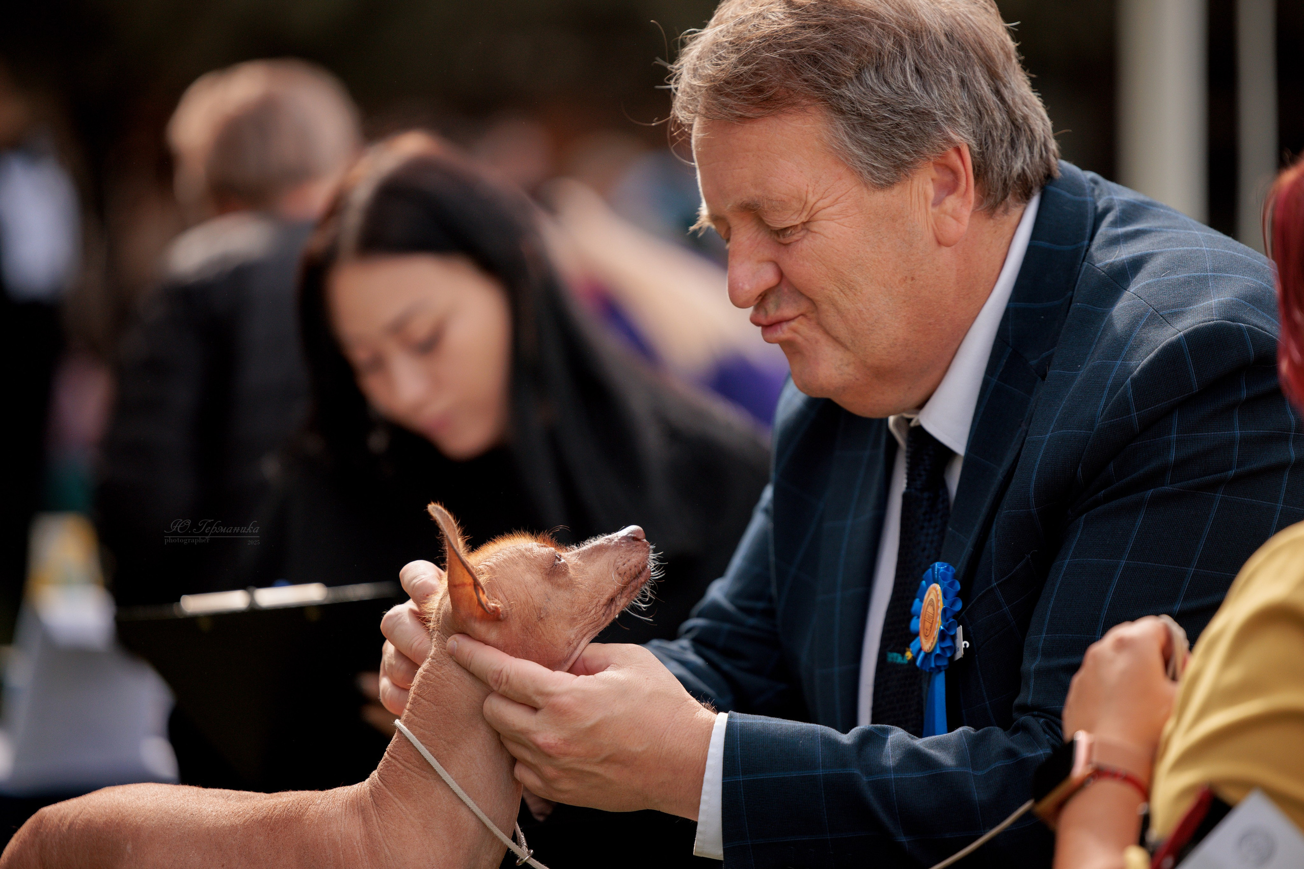 Бишкек 3х CACIB 26-28.09.2025. Фотограф-анималист Юлия Германика