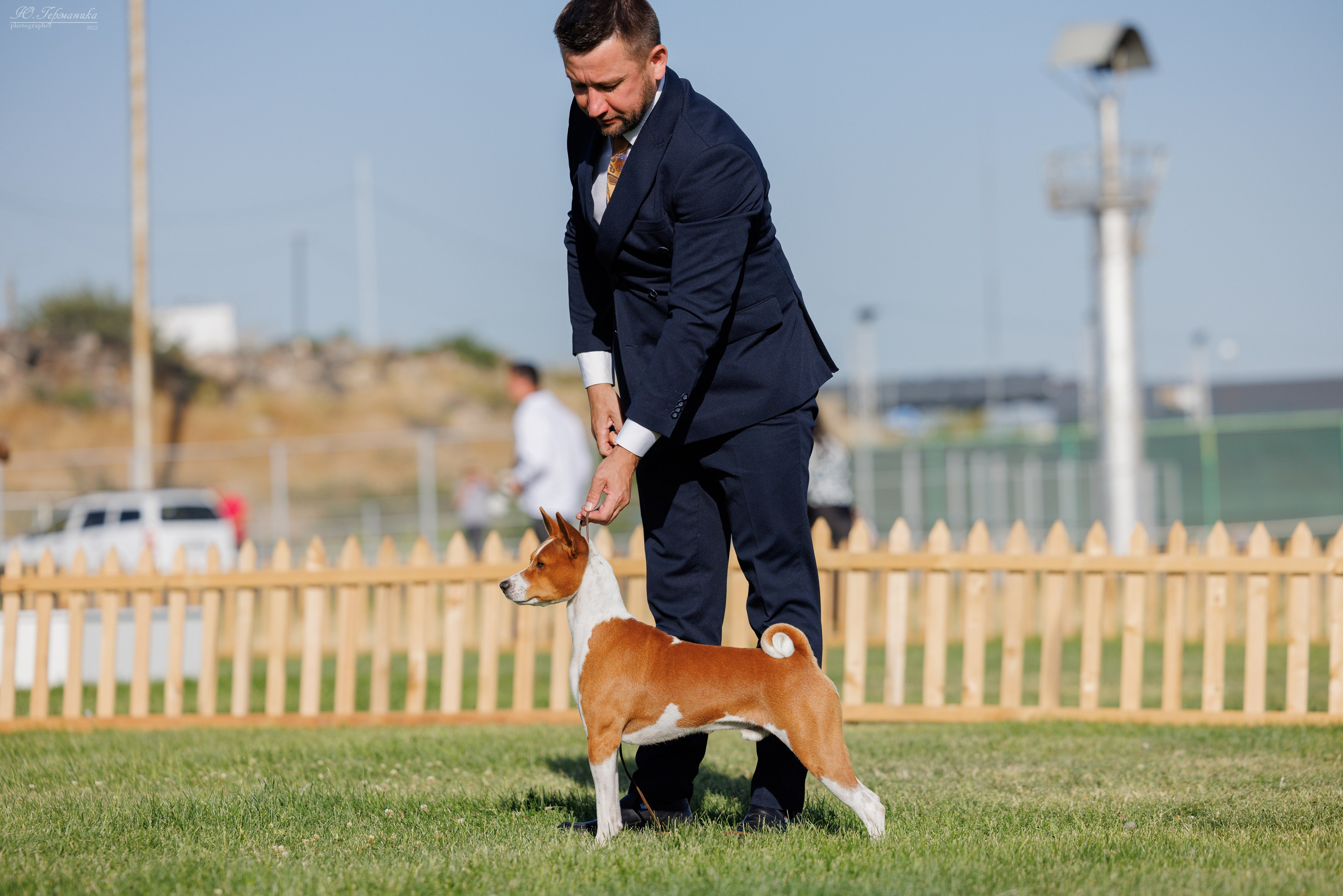 Ереван 3хCACIB 23-25.06.2025. Фотограф-анималист Юлия Германика