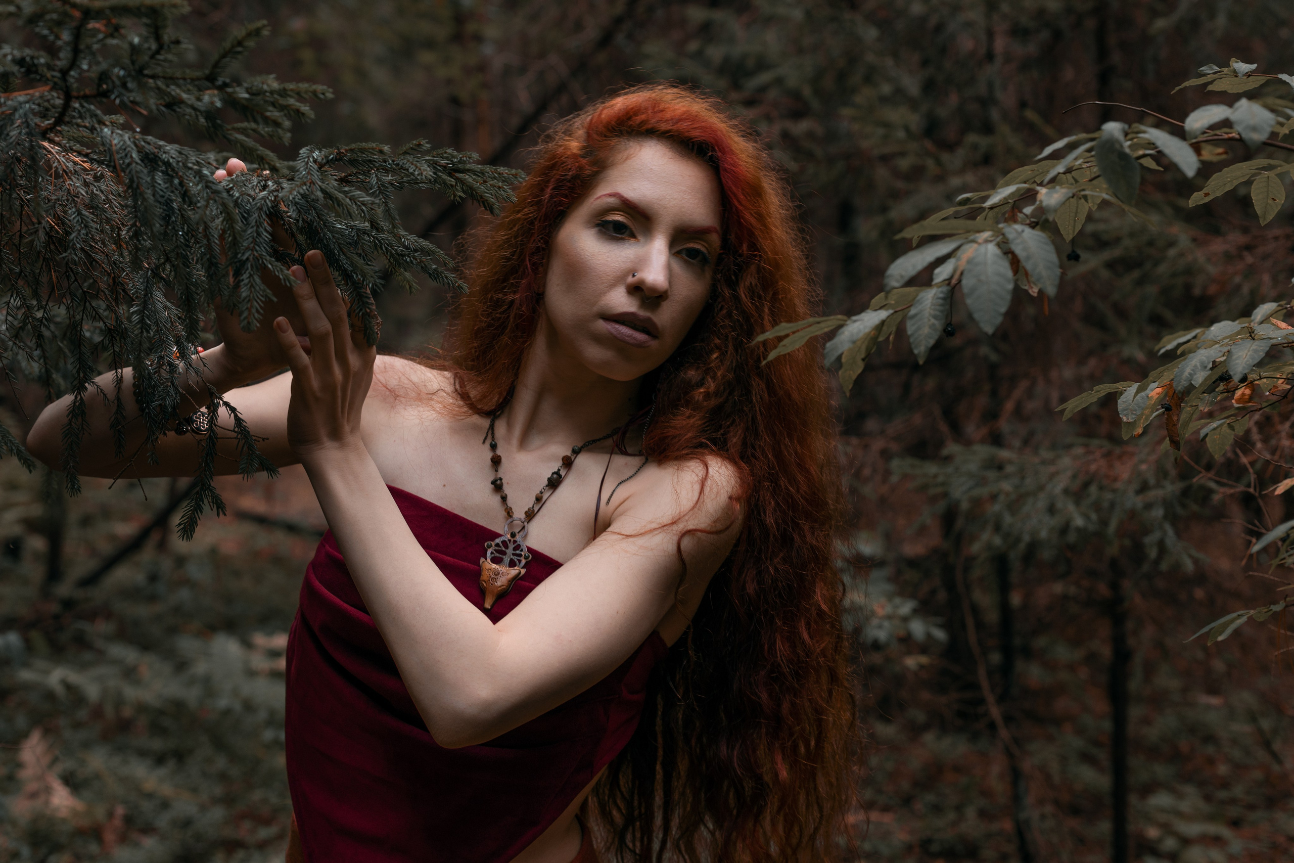 Огненная Лисица