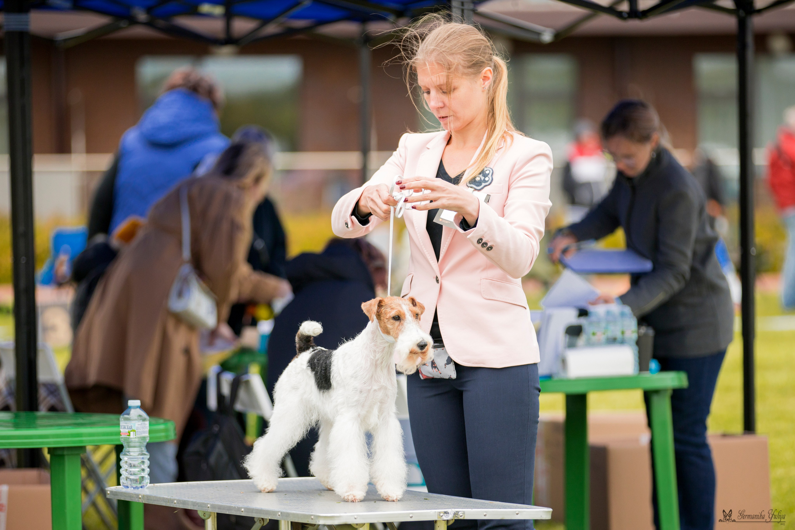 Переславль 9-10.09.2023. Фотограф-анималист Юлия Германика