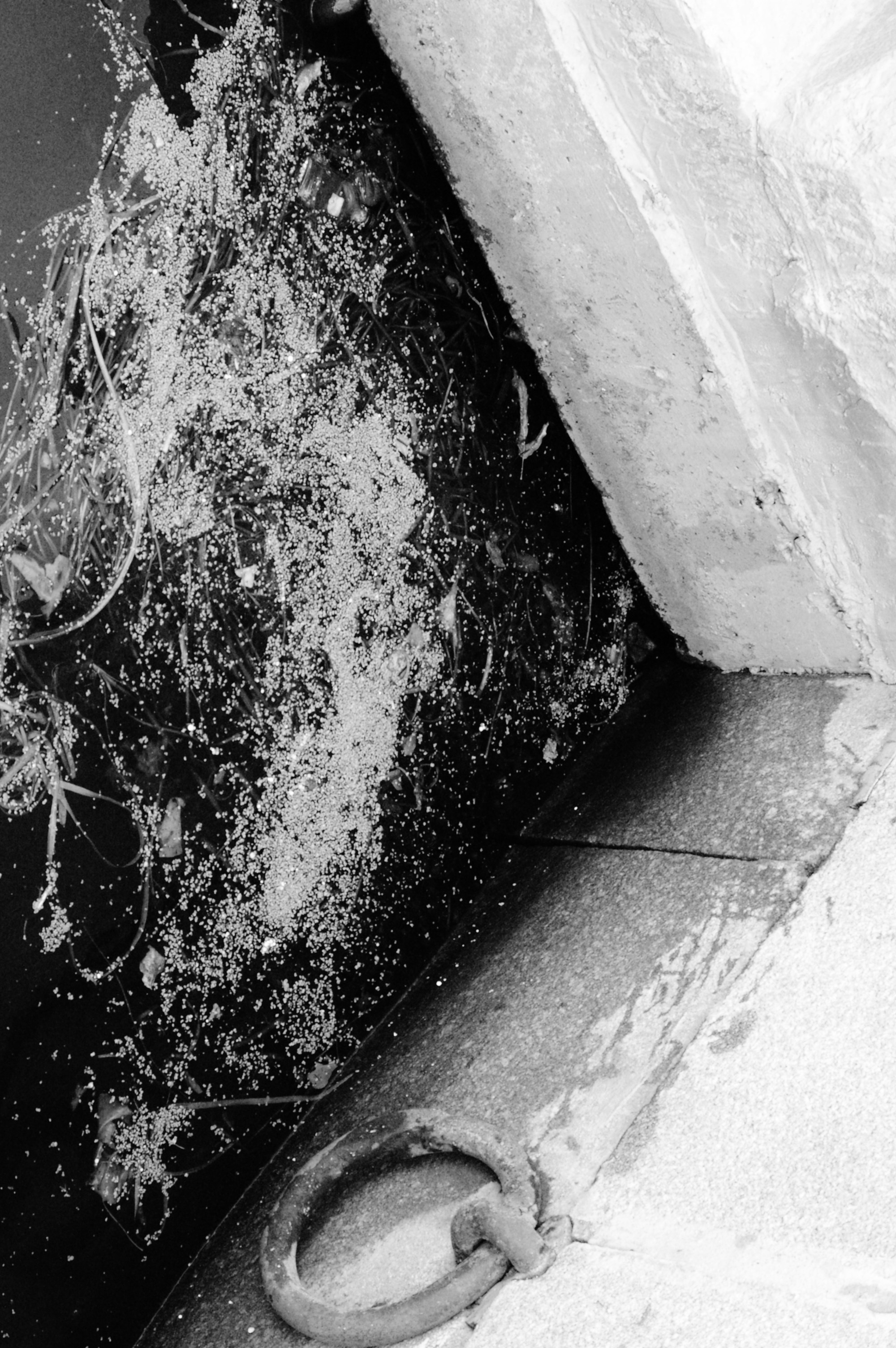 Moments. Juliarubis.com