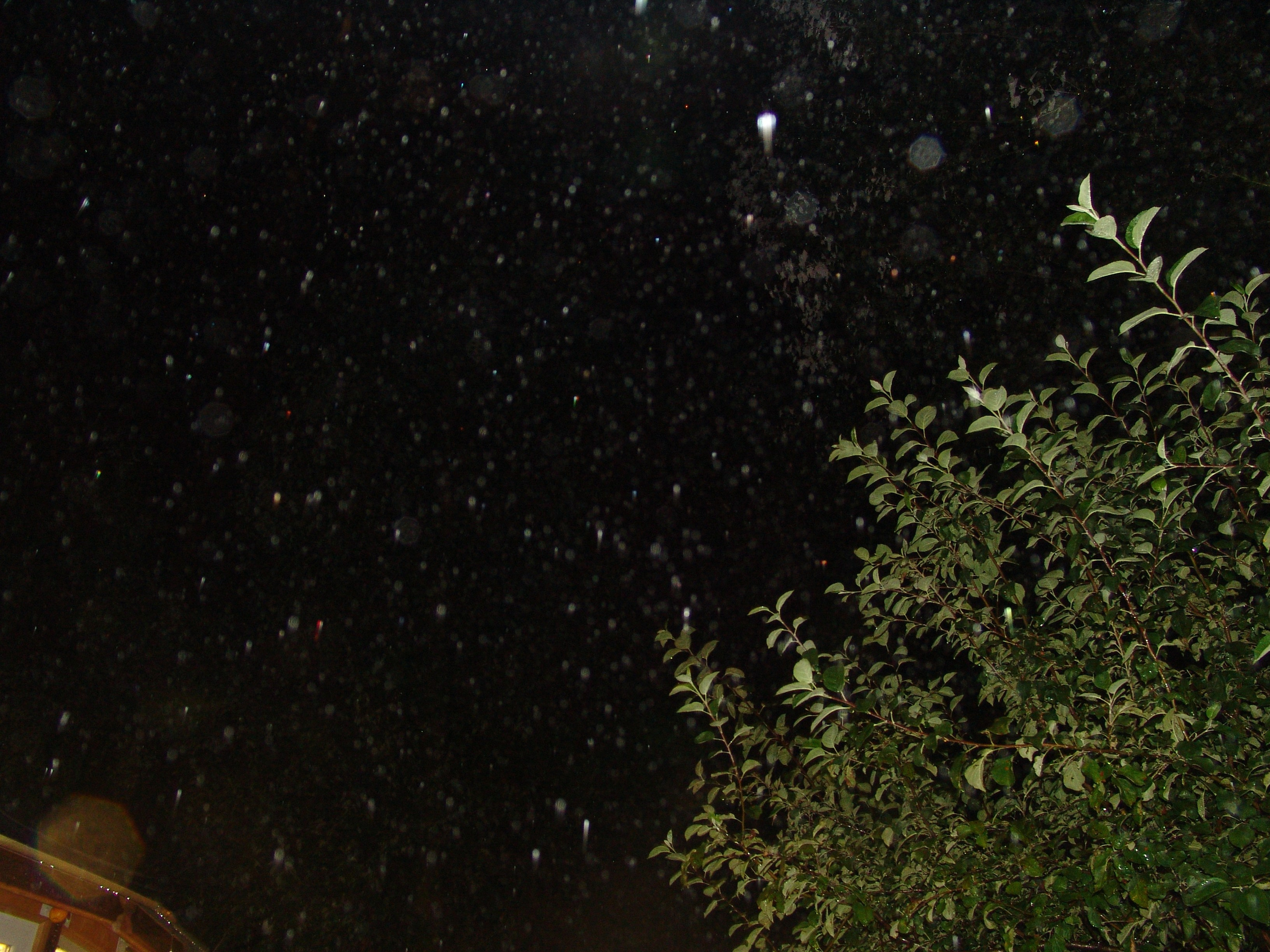 Ергали 11 08 2005. Заставка