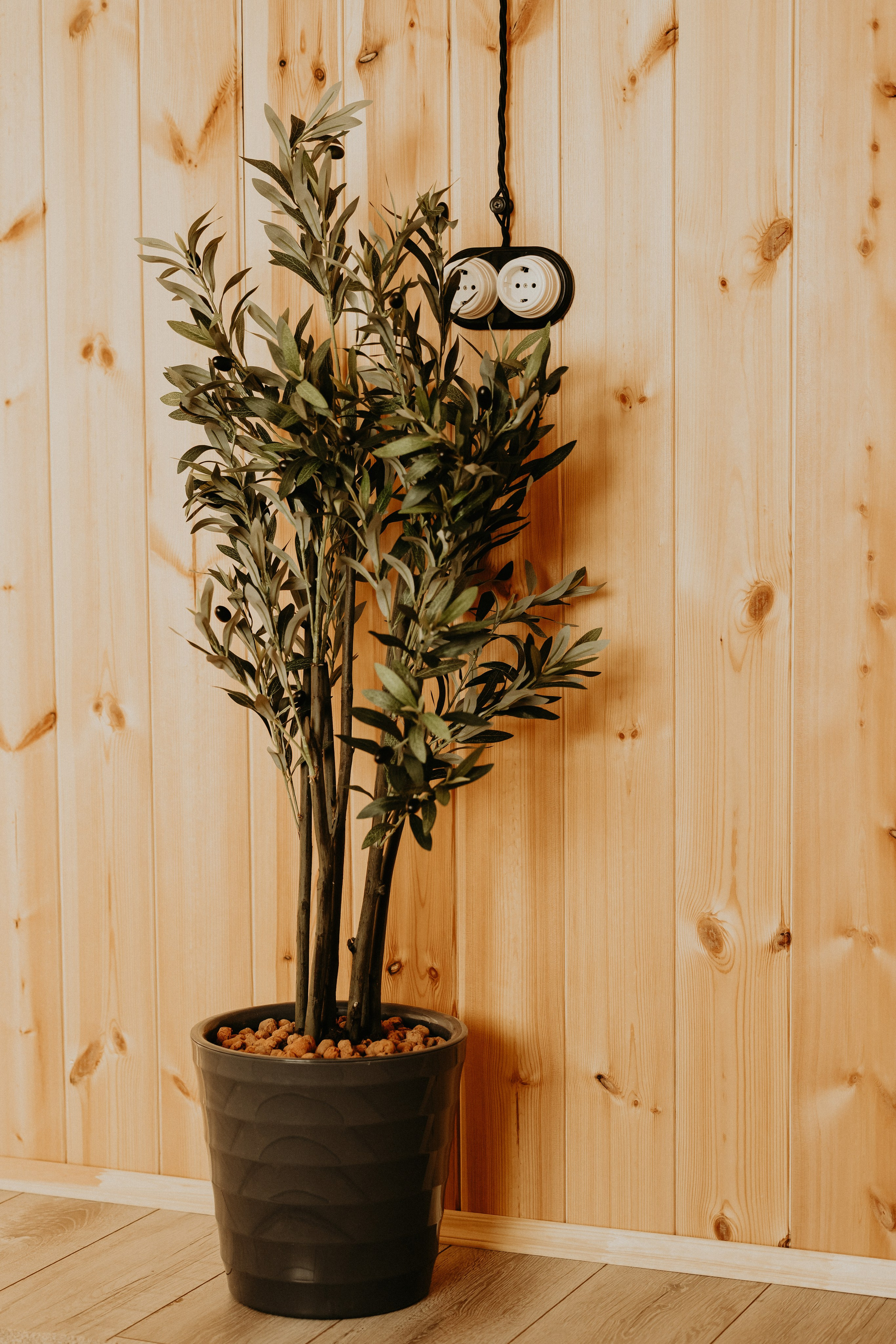 Пространство для ваших событий. Главная