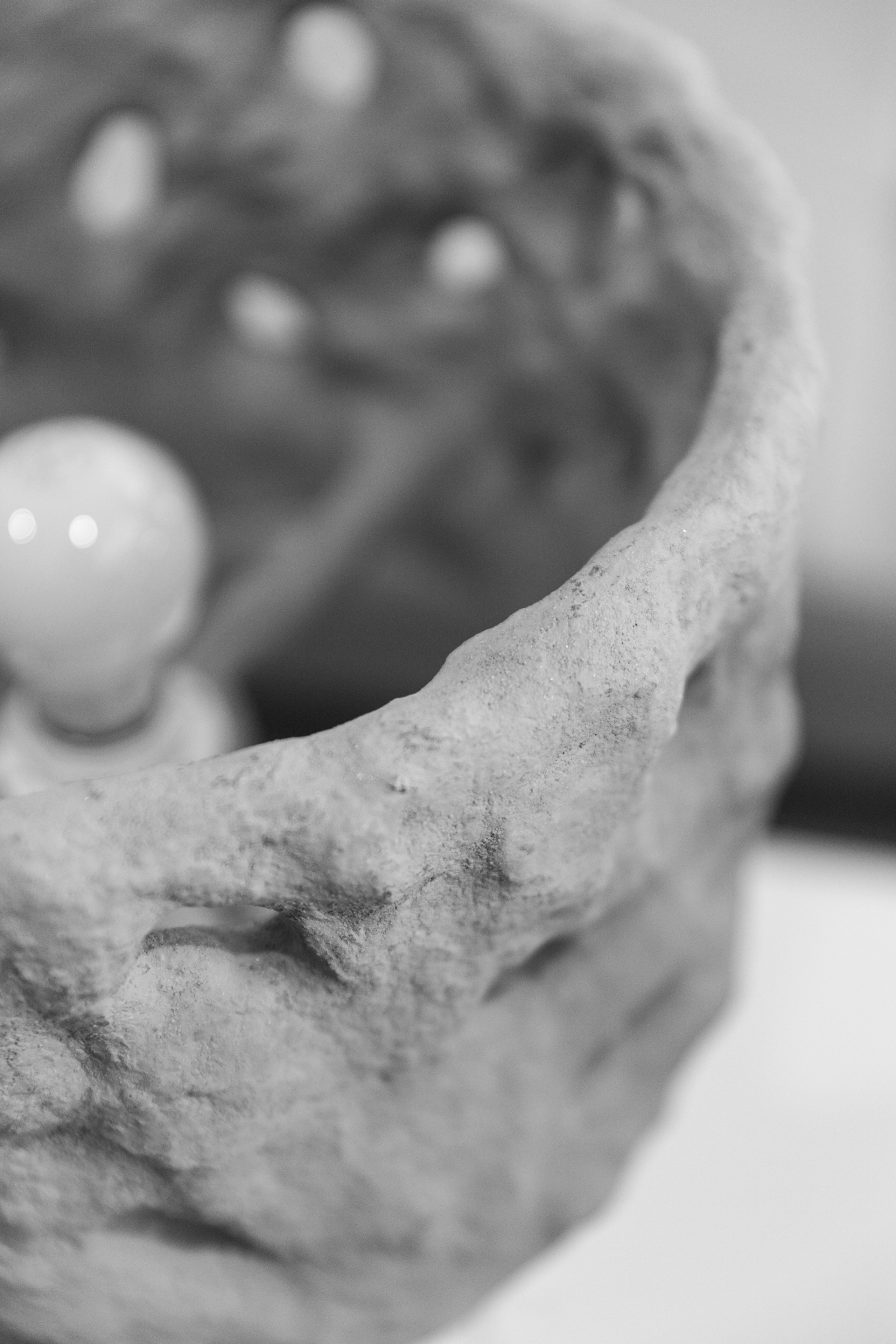 Kseniya Torgashina Designer. Фотограф на Юге России