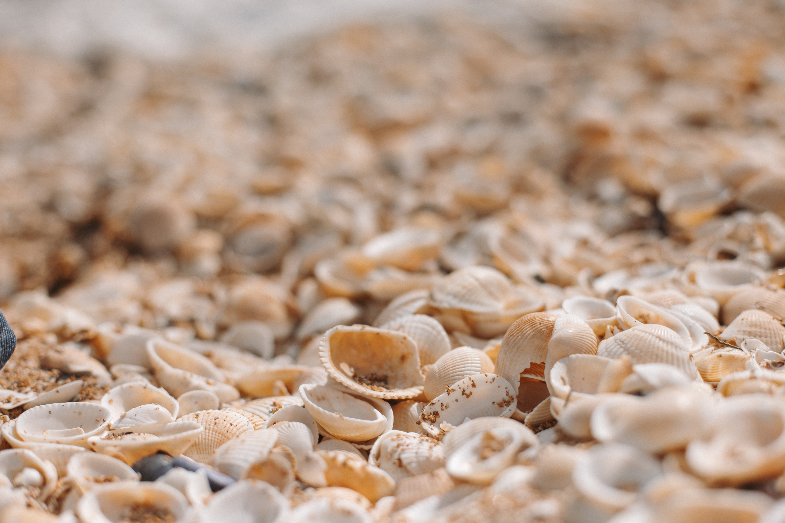 Crimea. Фотограф на Юге России