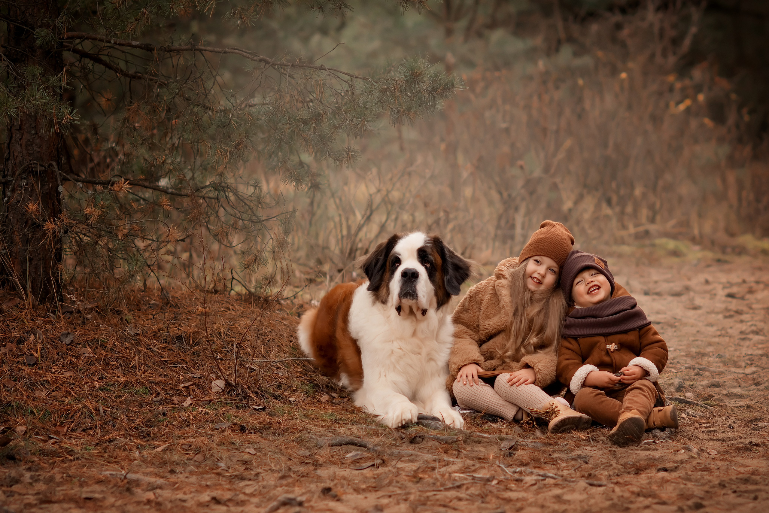 Обучение фото