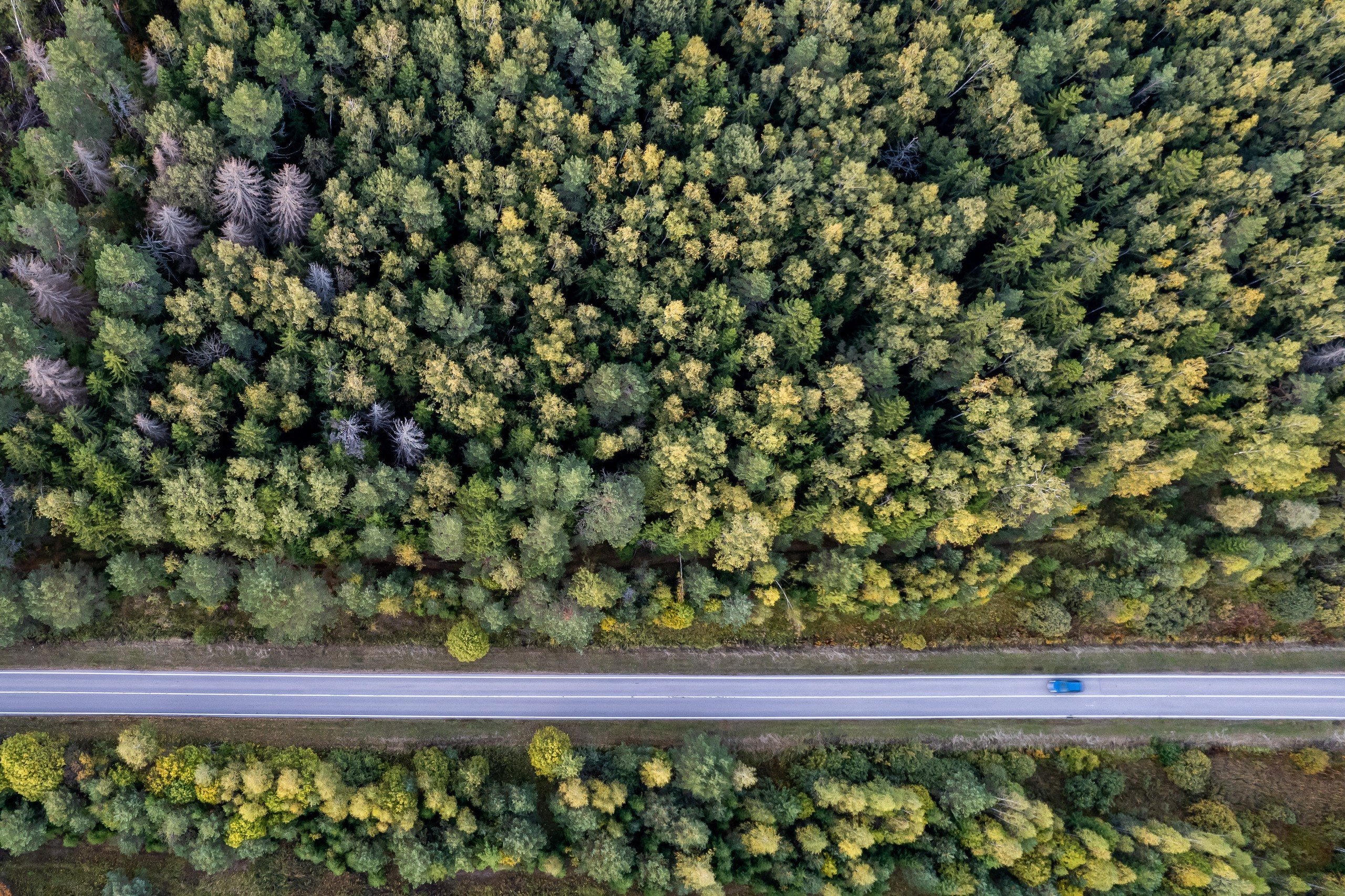 Аэрофотосъёмка. Foto-Zuev фотография как искусство