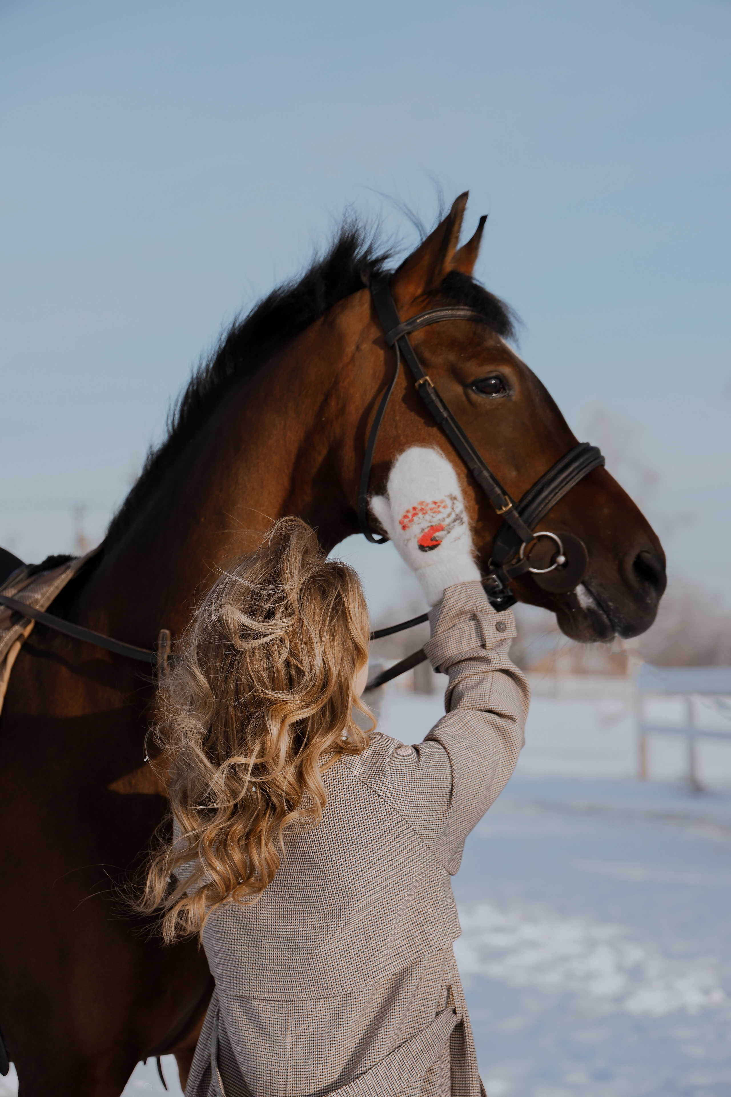 Зимняя прогулка. Фотограф Анастасия Пинчук