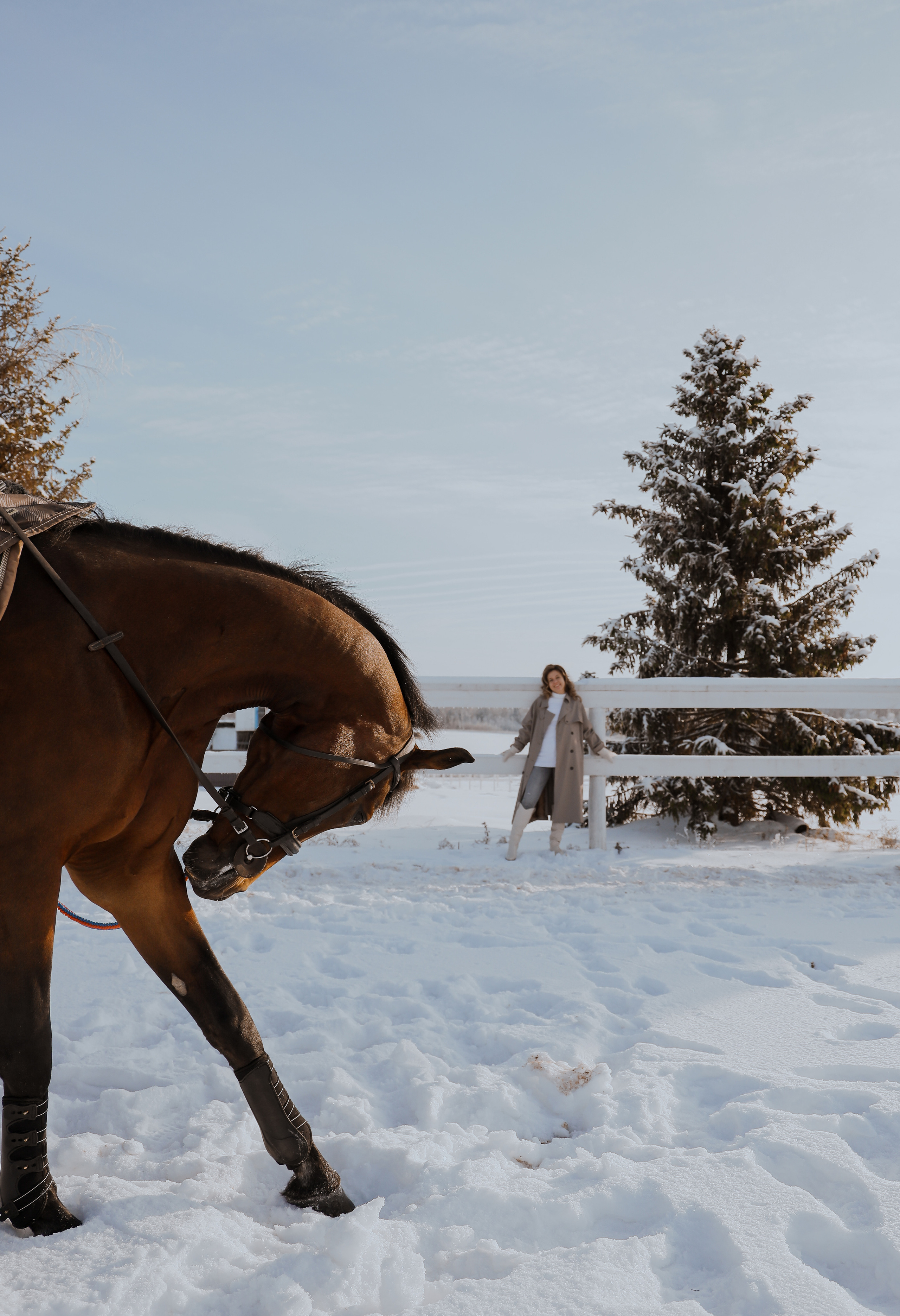 Зимняя прогулка. Фотограф Анастасия Пинчук