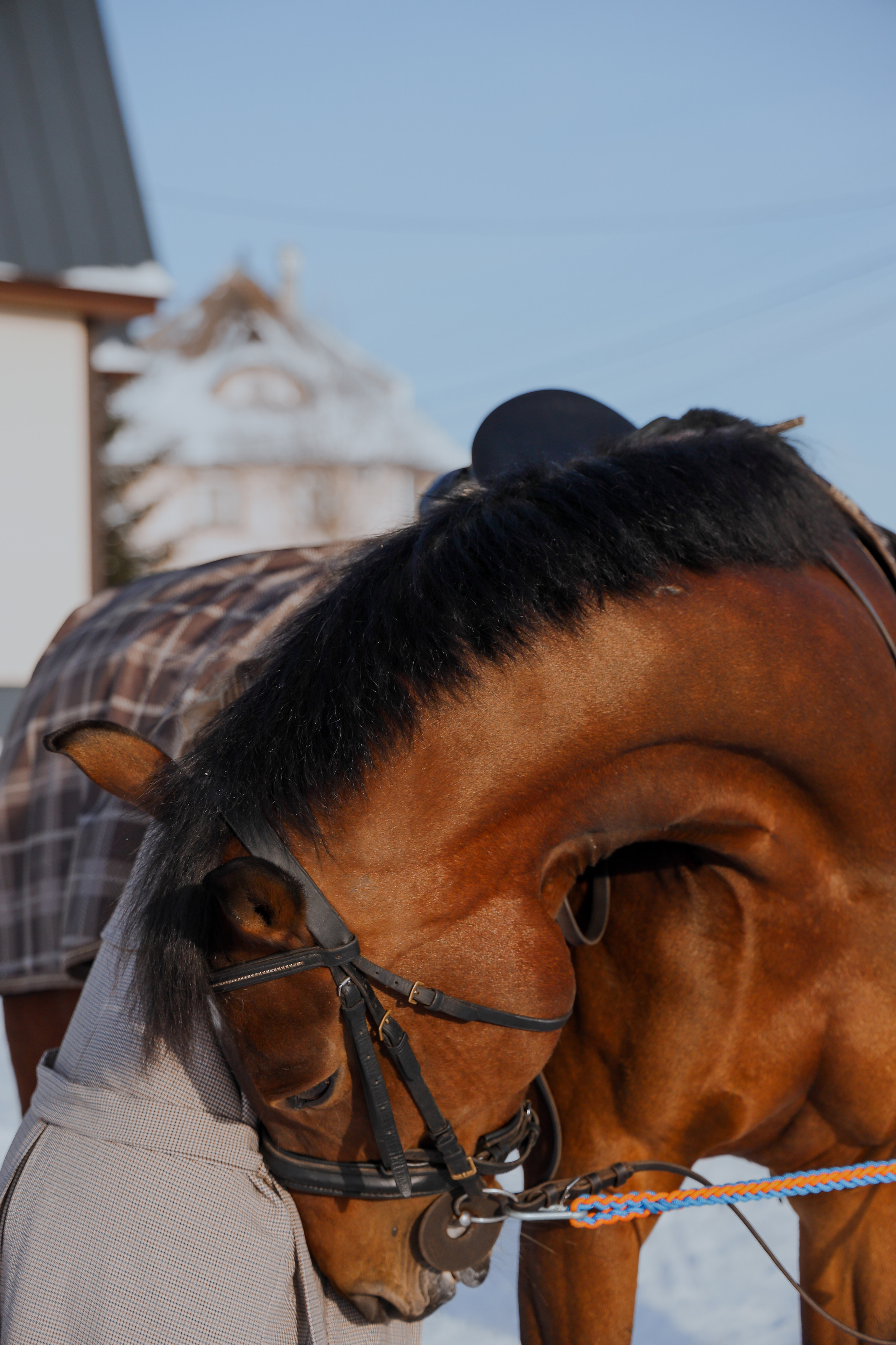 Зимняя прогулка. Фотограф Анастасия Пинчук