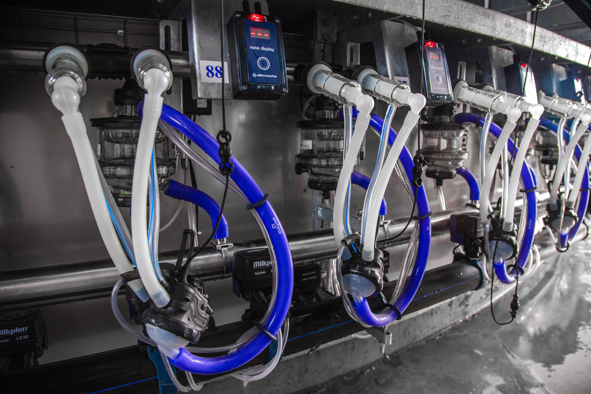 Открытие карусели для дойки скота. Репортажный, промышленный и маркетплейс-фотограф Дмитрий Чернат