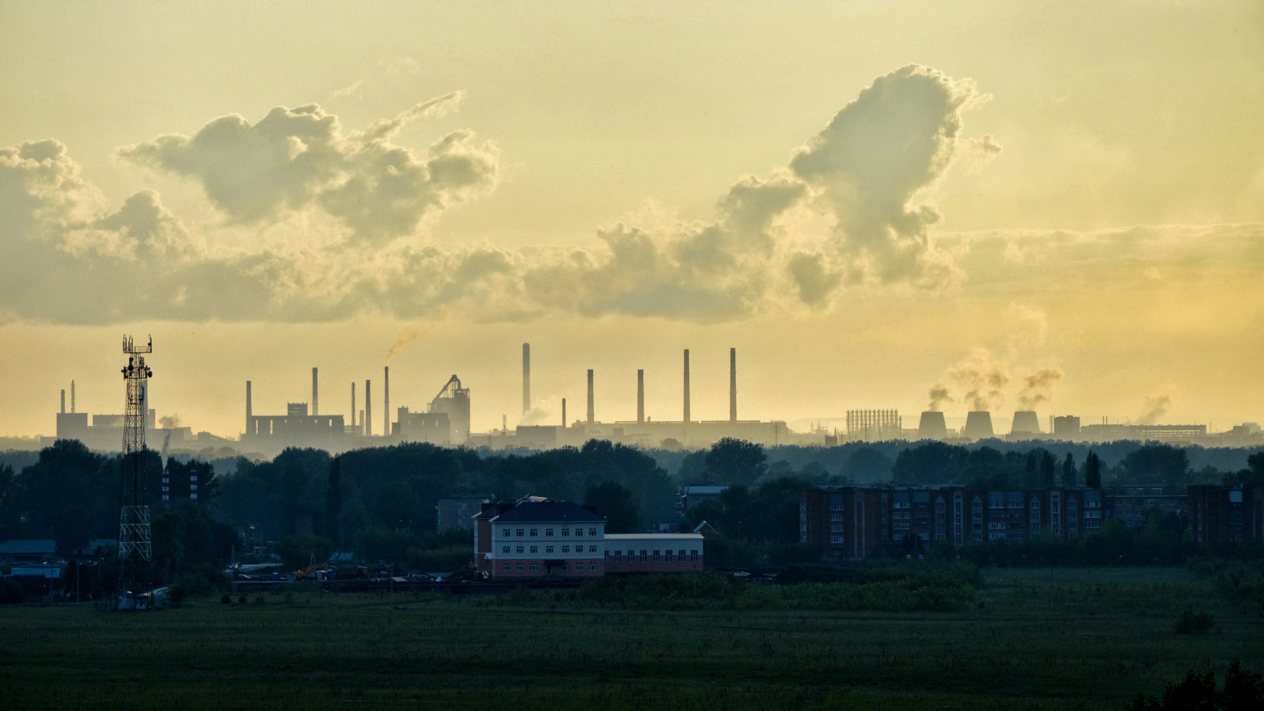 Фото. Ильнур Таминдаров