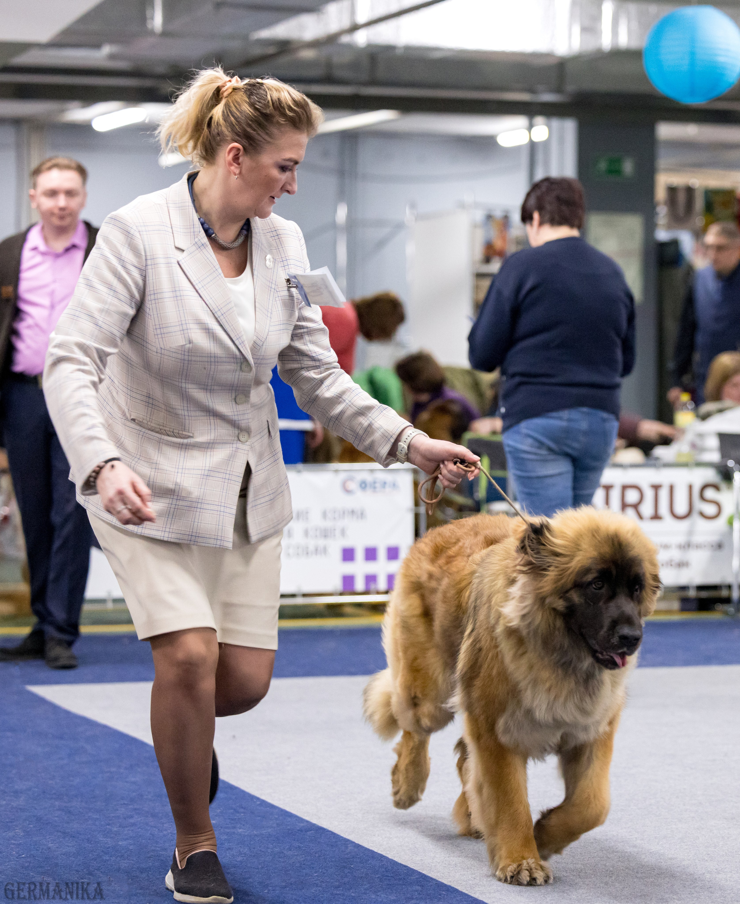 Сфера 28.01. и 4.02.2024. Фотограф-анималист Юлия Германика