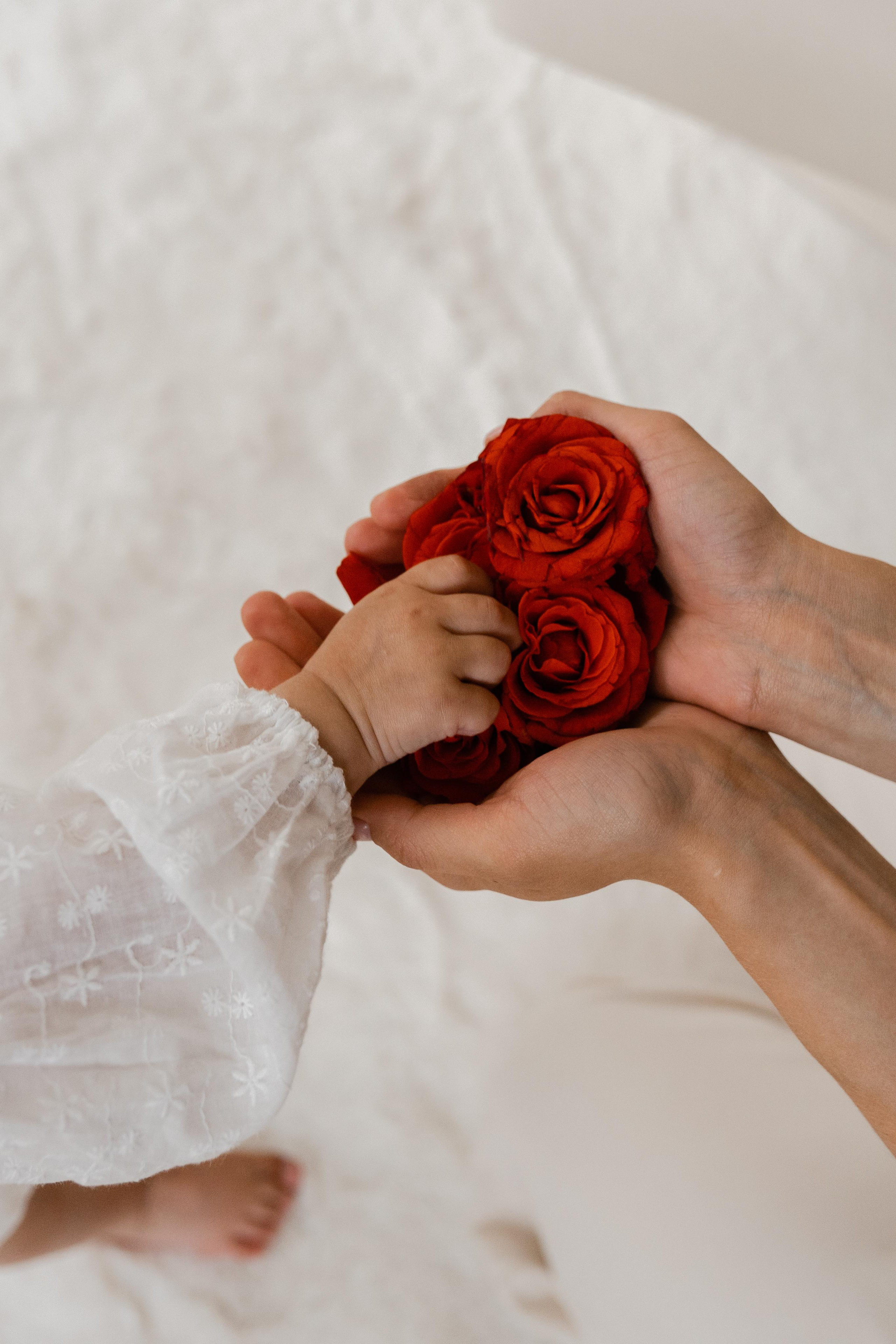 Семейная фотосессия в студии в Москве, семейный фотограф Анна Полушина. Свадебный фотограф в Москве Анна Полушина