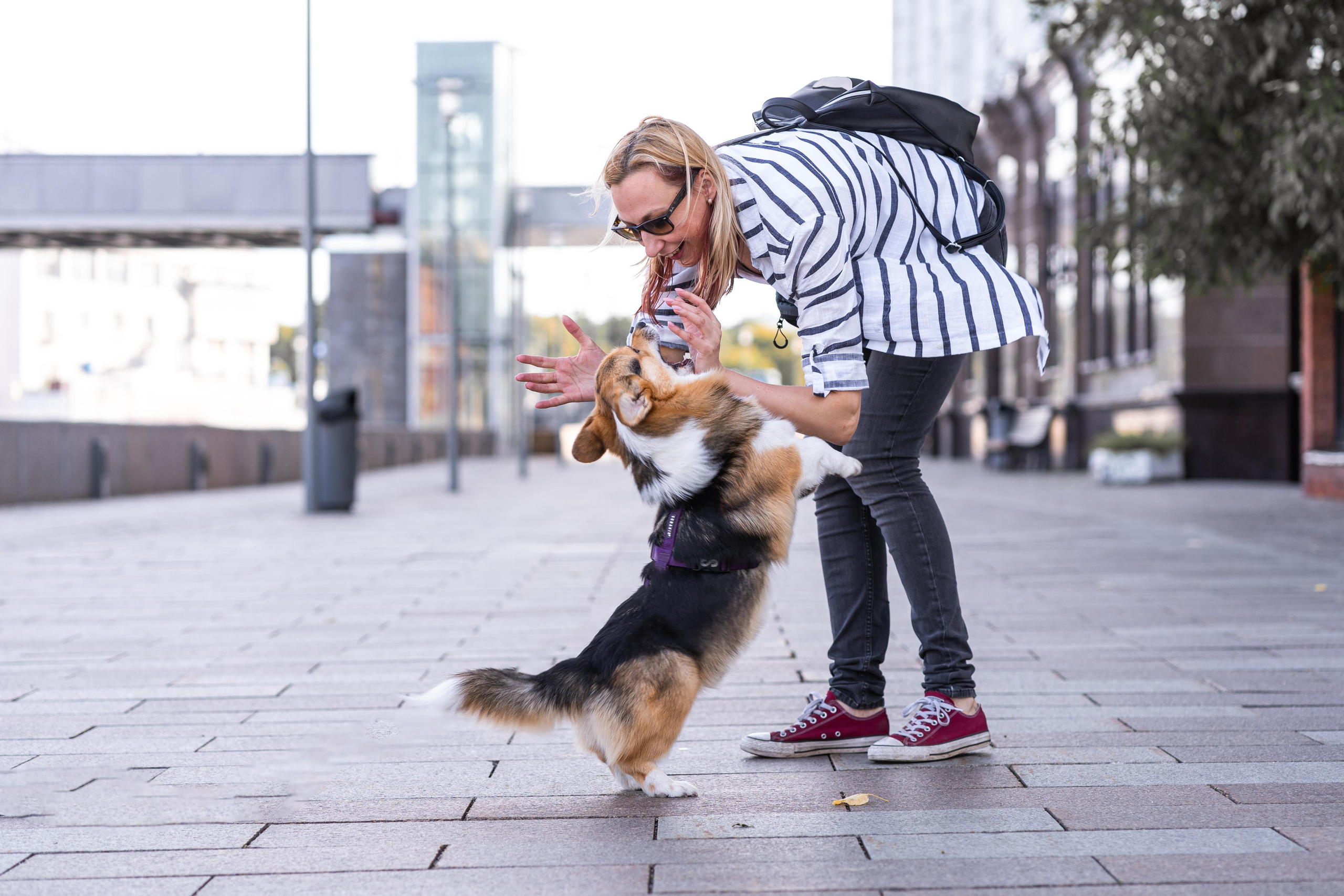 Полина и Каспер в Музеоне. Свадебный фотограф в Москве Анна Полушина