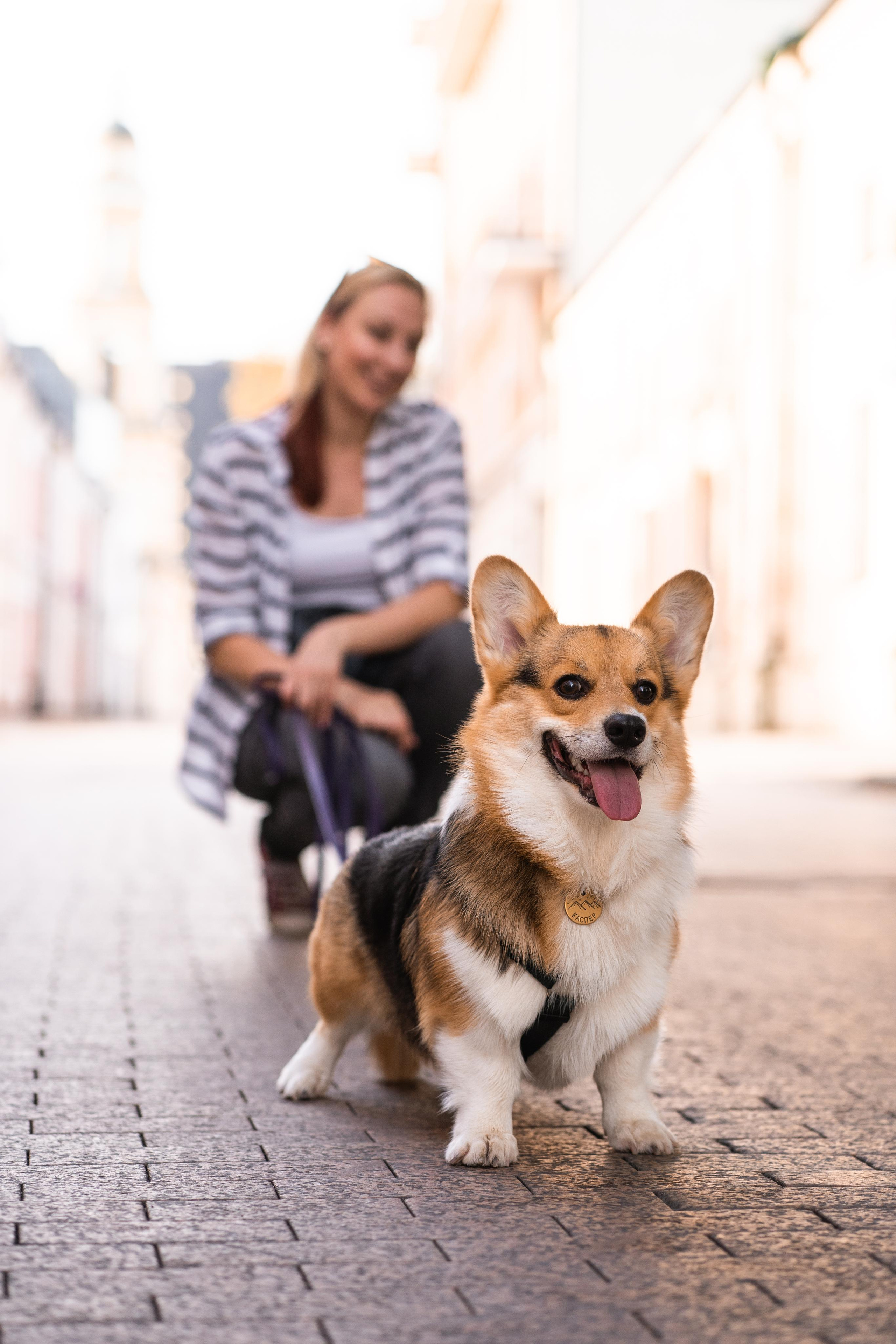 Полина и Каспер в Музеоне. Свадебный фотограф в Москве Анна Полушина