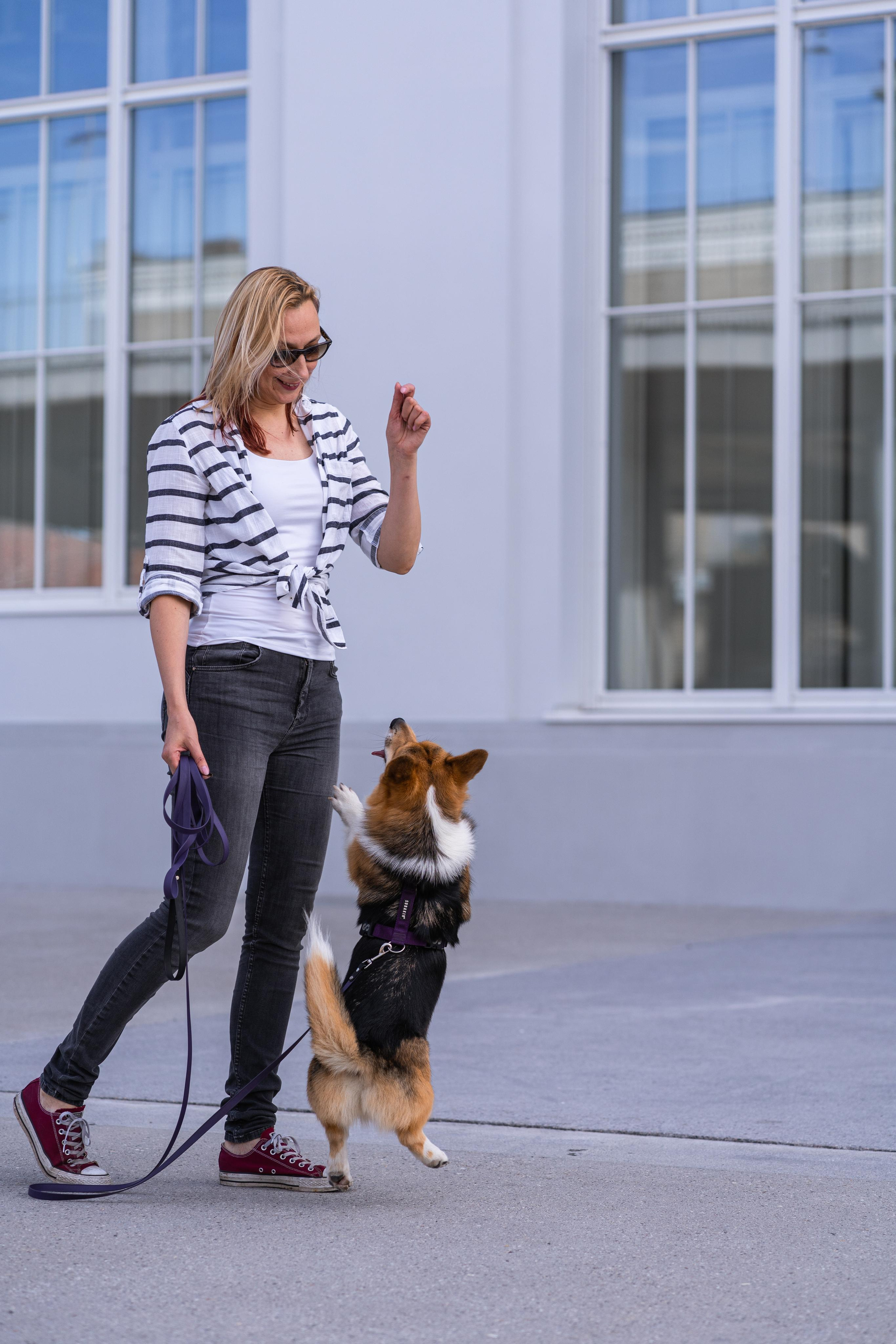 Полина и Каспер в Музеоне. Свадебный фотограф в Москве Анна Полушина