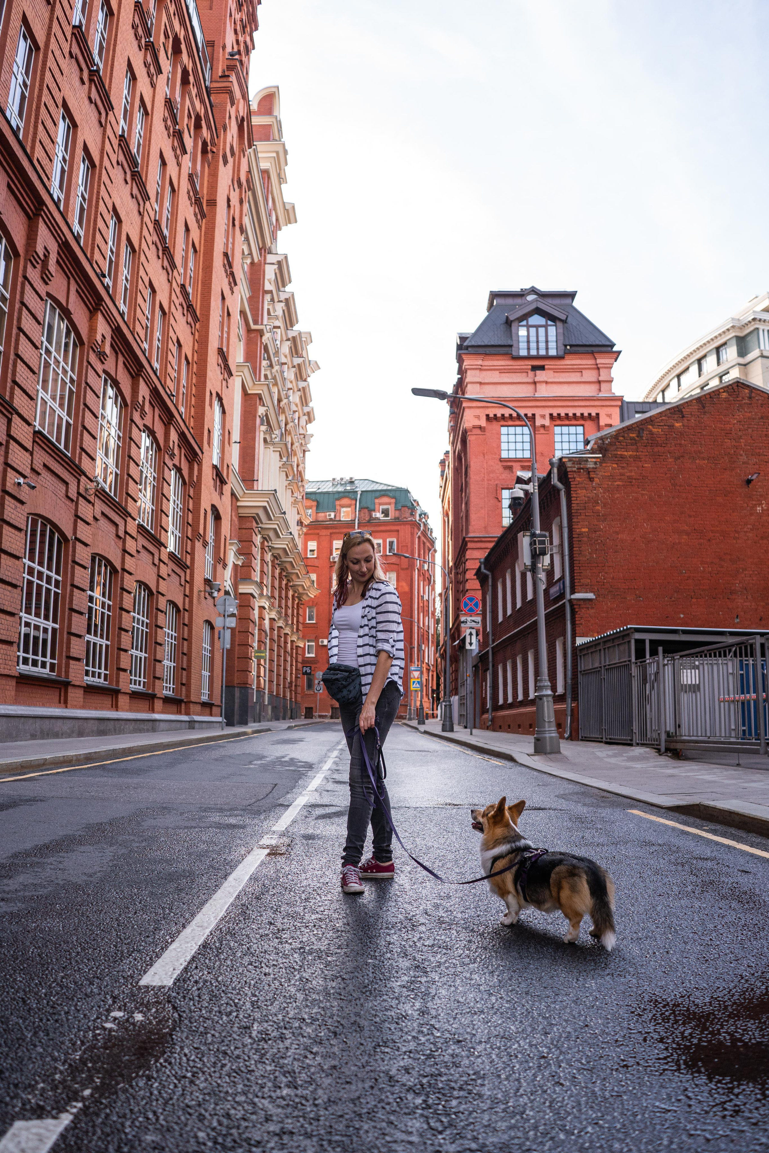 Полина и Каспер в Музеоне. Свадебный фотограф в Москве Анна Полушина