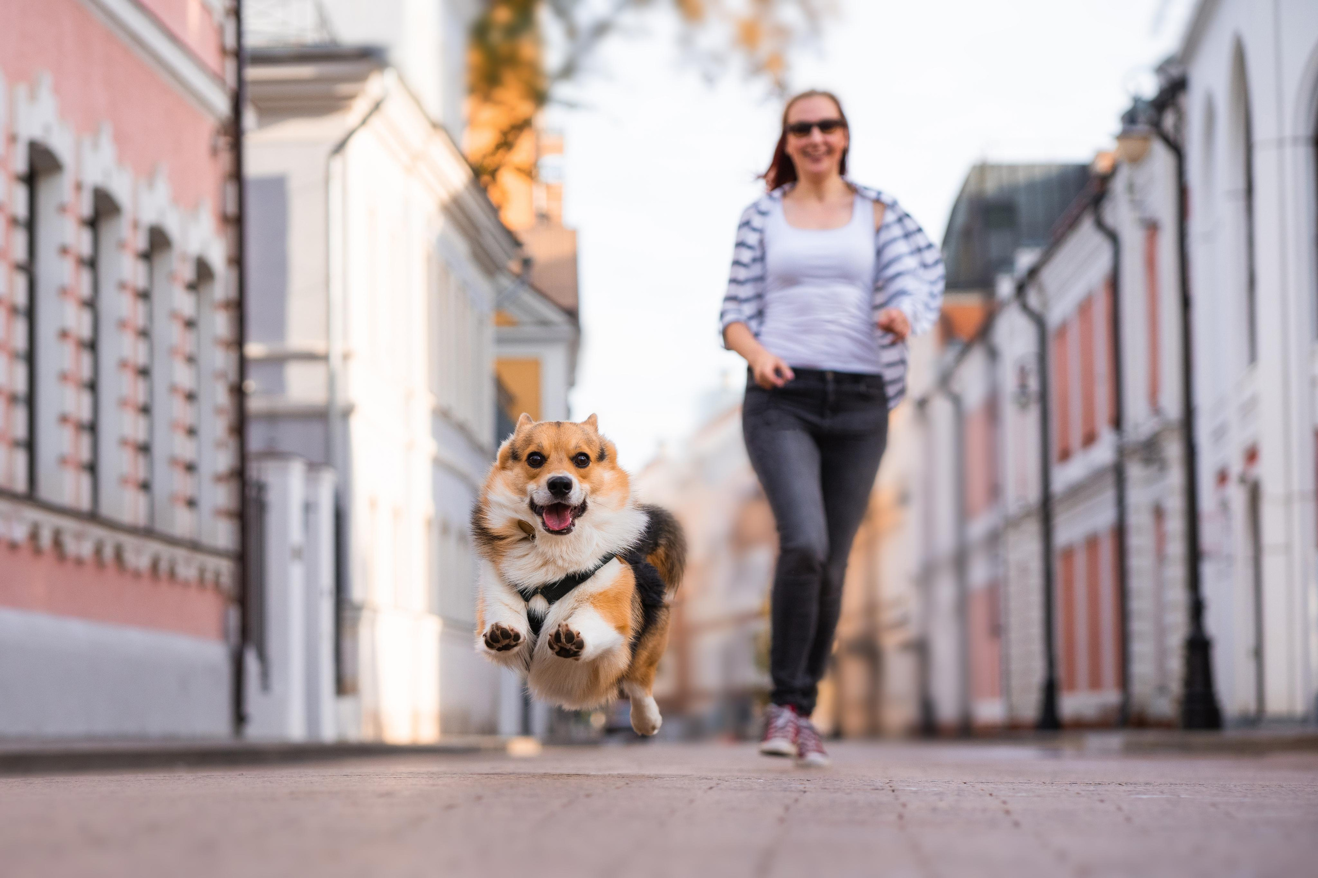 Полина и Каспер в Музеоне. Свадебный фотограф в Москве Анна Полушина