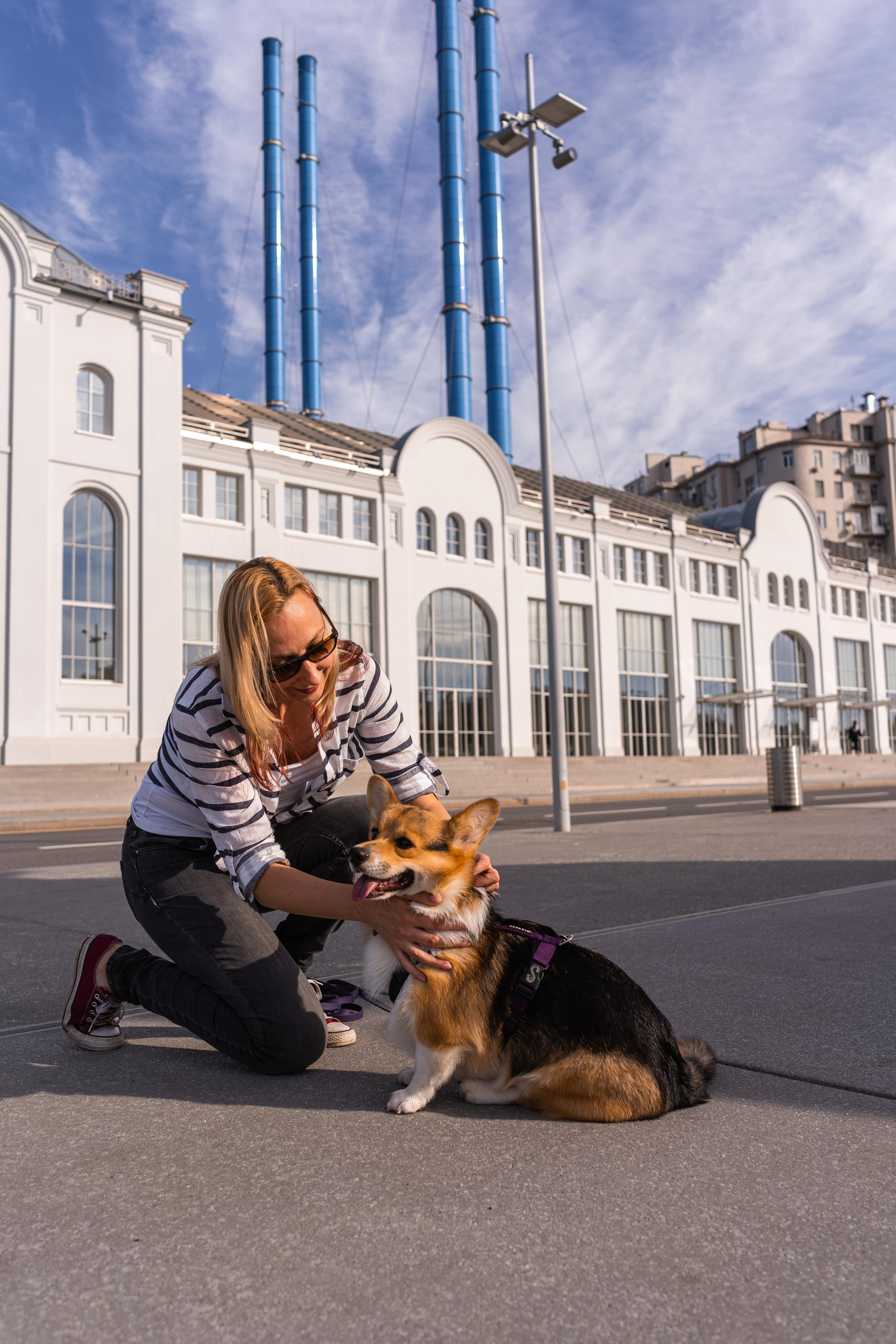 Полина и Каспер в Музеоне. Свадебный фотограф в Москве Анна Полушина