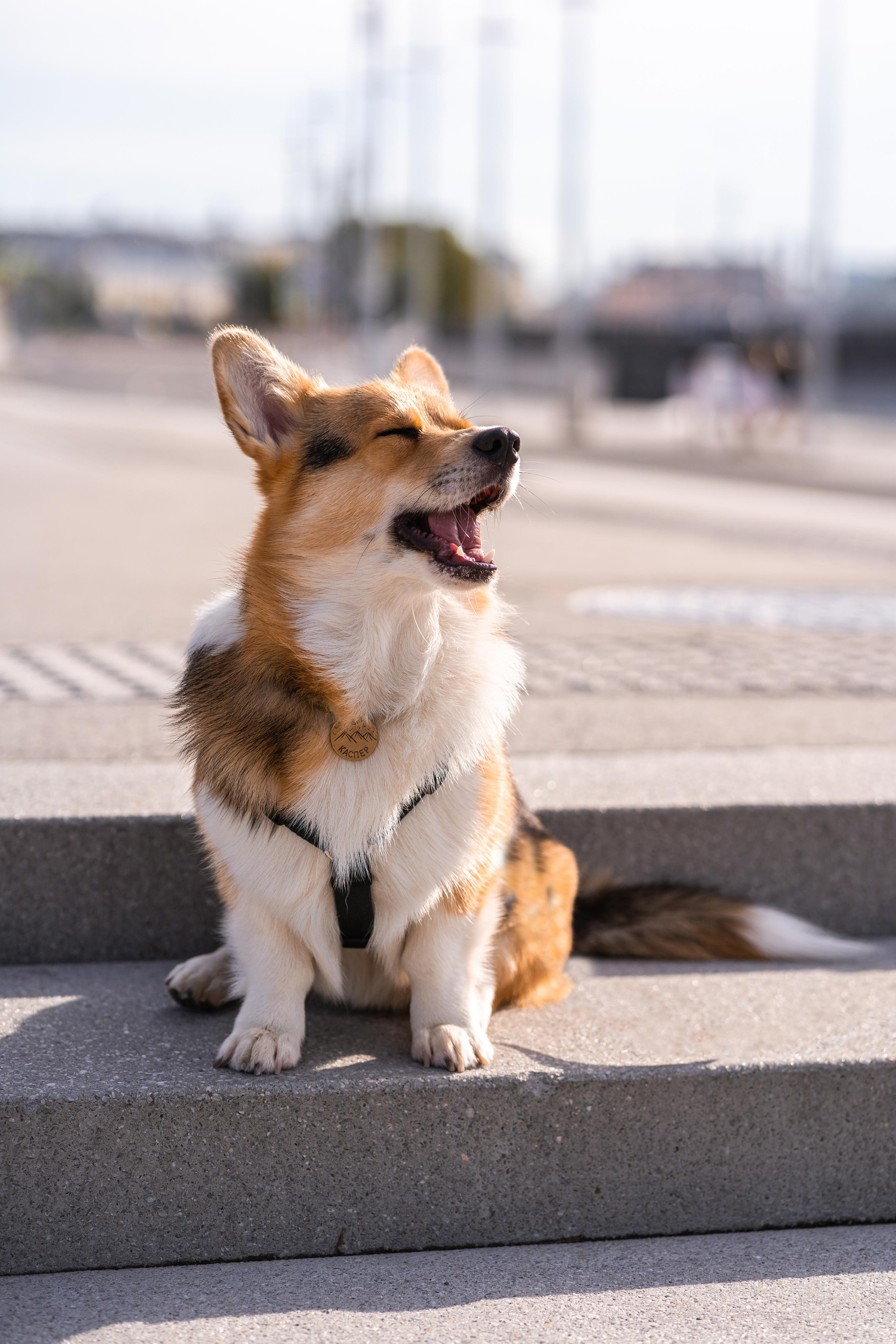 Полина и Каспер в Музеоне. Свадебный фотограф в Москве Анна Полушина