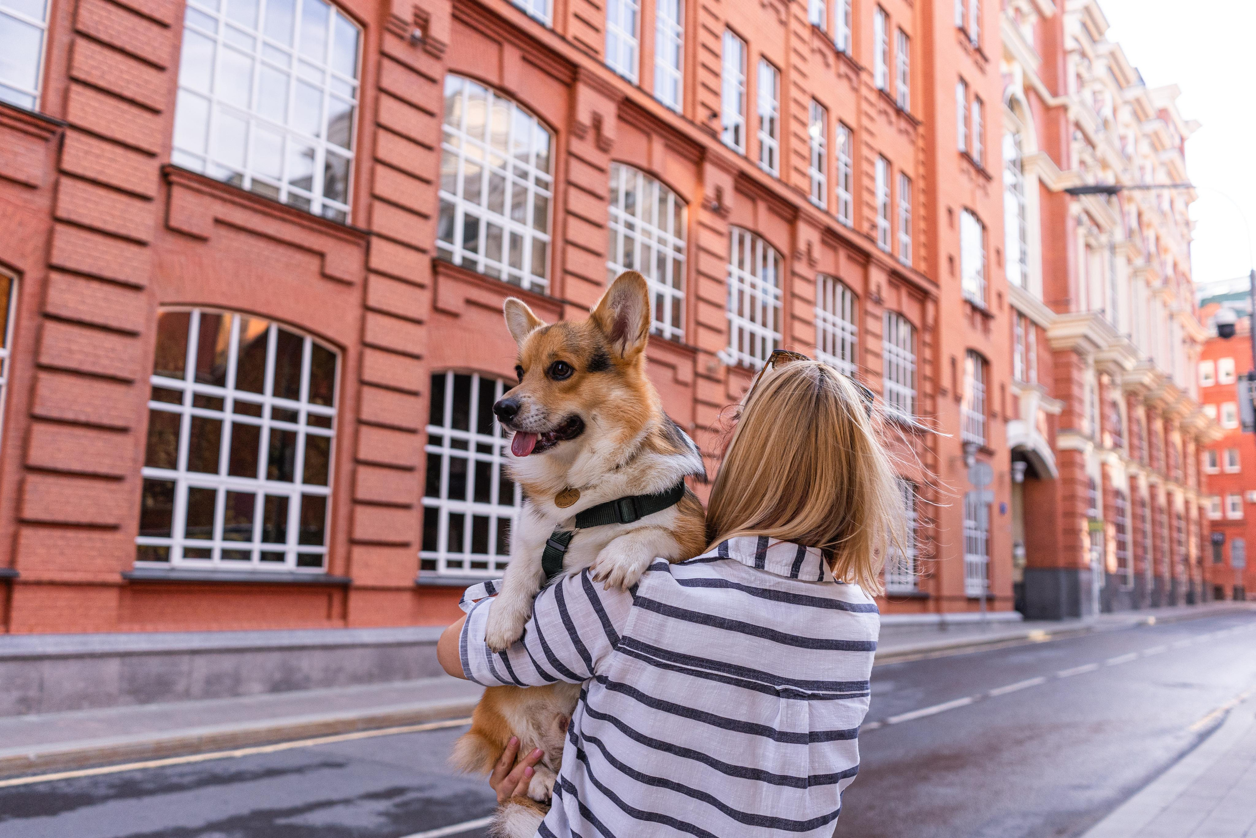 Полина и Каспер в Музеоне. Свадебный фотограф в Москве Анна Полушина