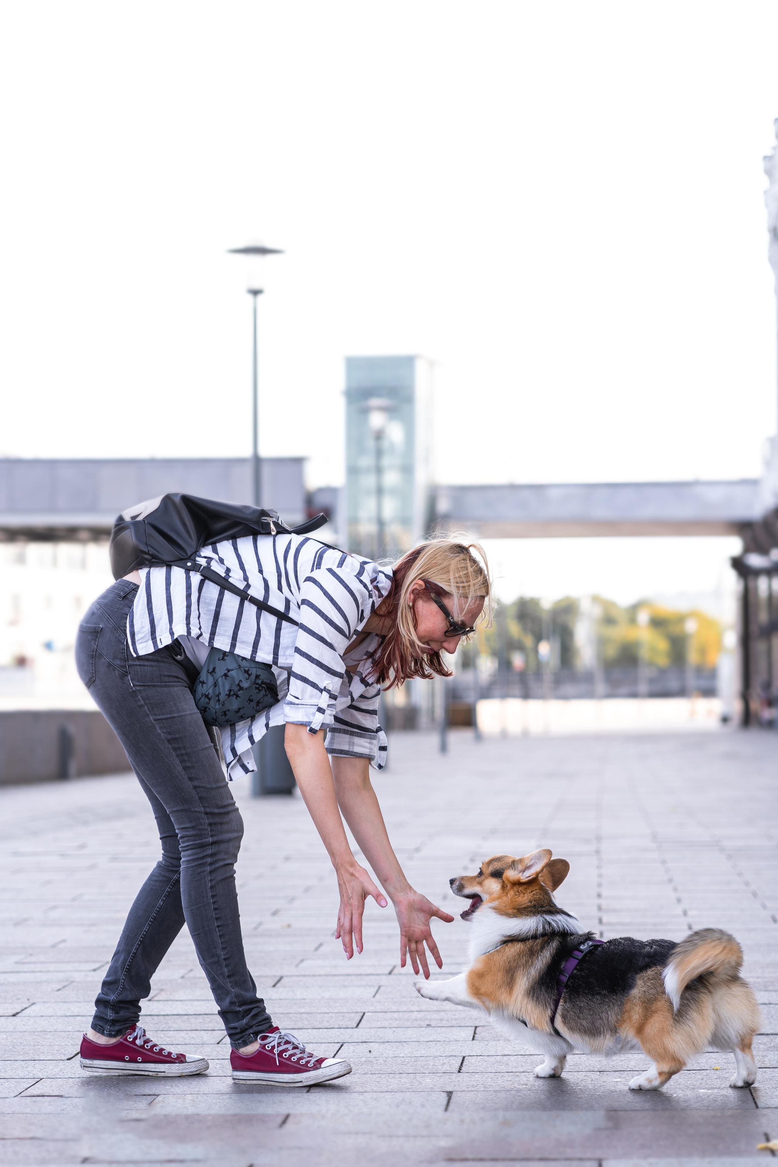 Полина и Каспер в Музеоне. Свадебный фотограф в Москве Анна Полушина