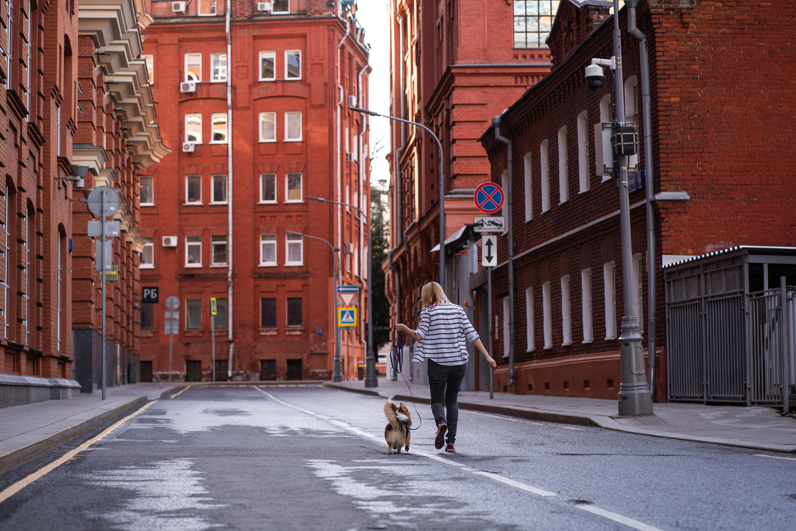 Полина и Каспер в Музеоне. Свадебный фотограф в Москве Анна Полушина