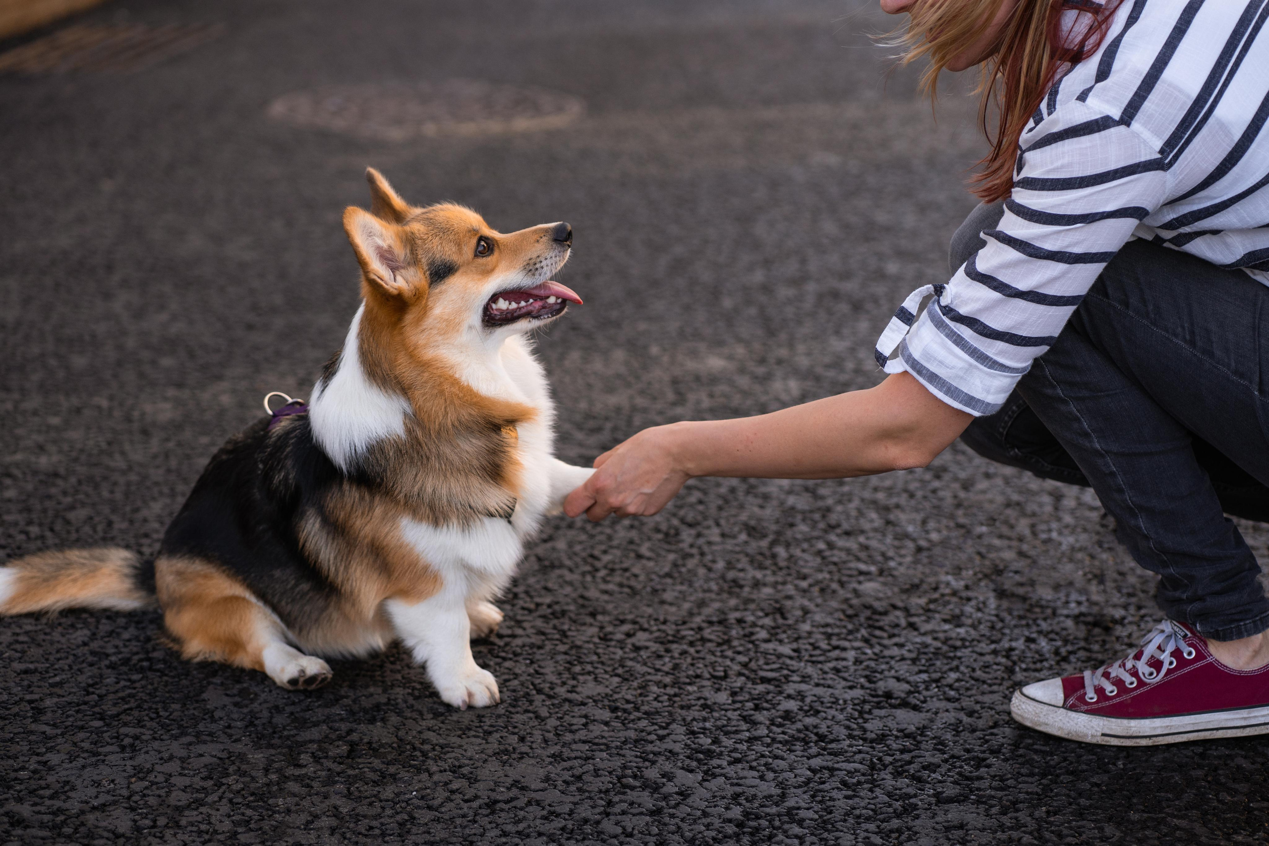 Полина и Каспер в Музеоне. Свадебный фотограф в Москве Анна Полушина